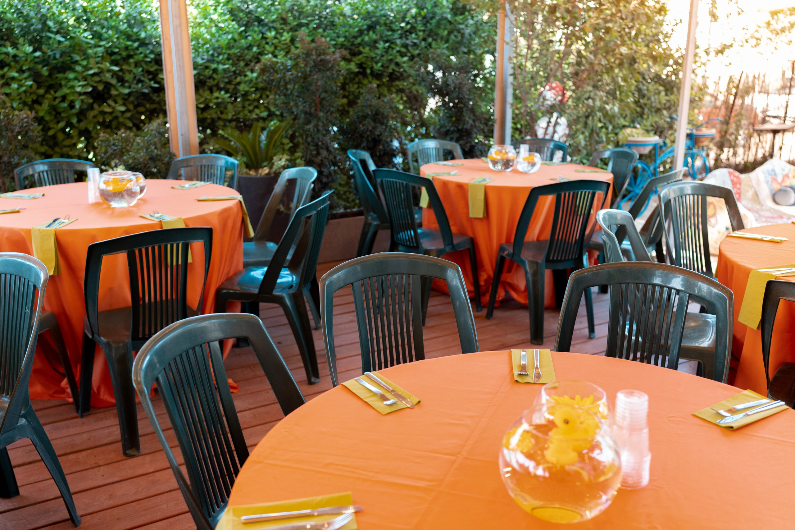 משפחת ברנד. יוסף מזרחי צילום חתונה, ברית וזוגיות. צלם מקצועי שאוהב להוציא אתכם הכי יפים ברגעים הכי מרגשים