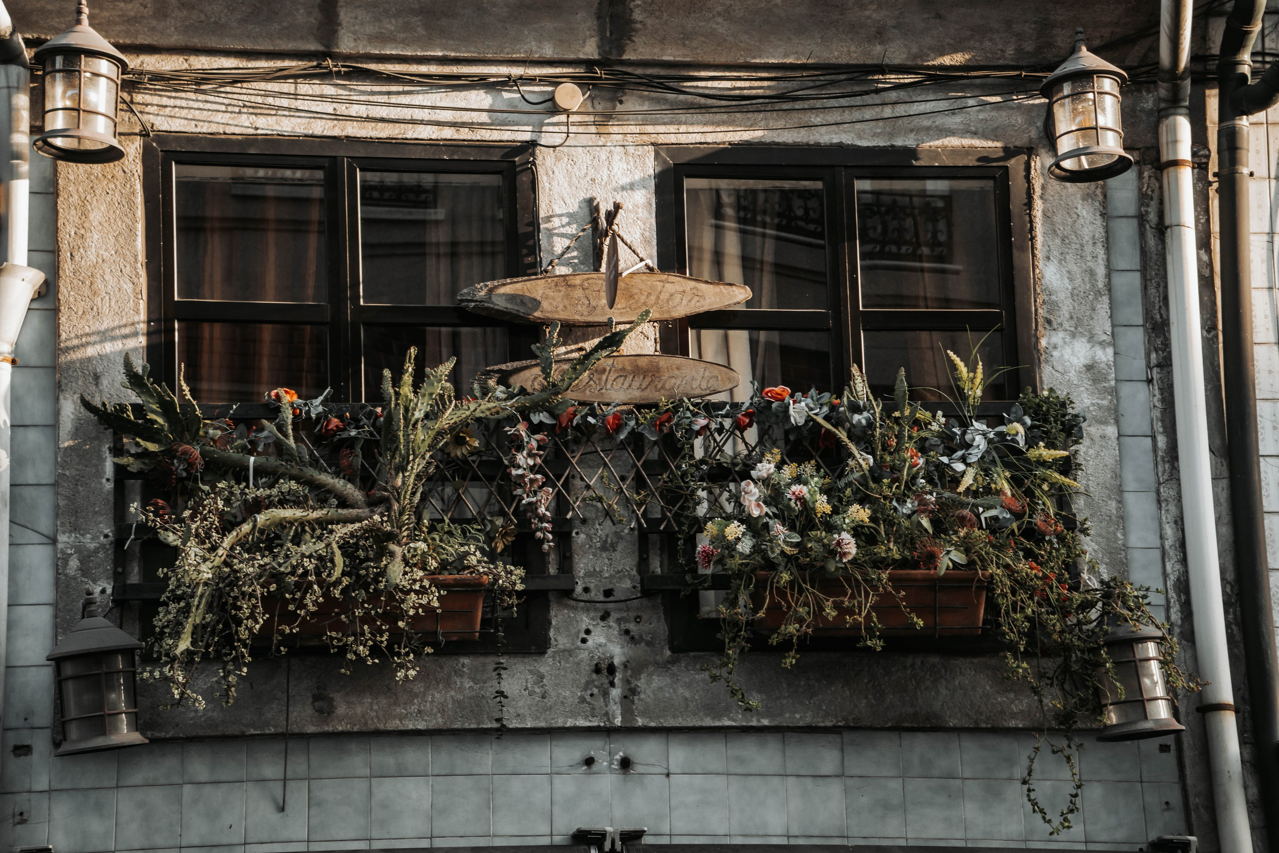 Porto, Agosto 2024. Alba del Norte Studio