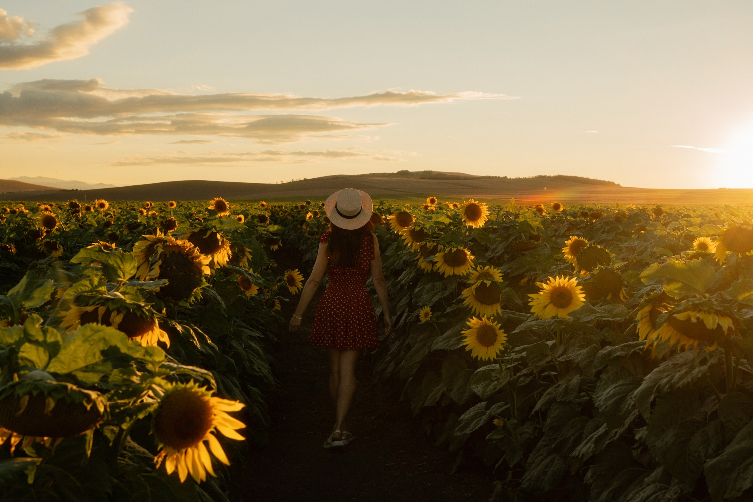 Marbella portrait photographer captures young woman in sunflower field at golden hour