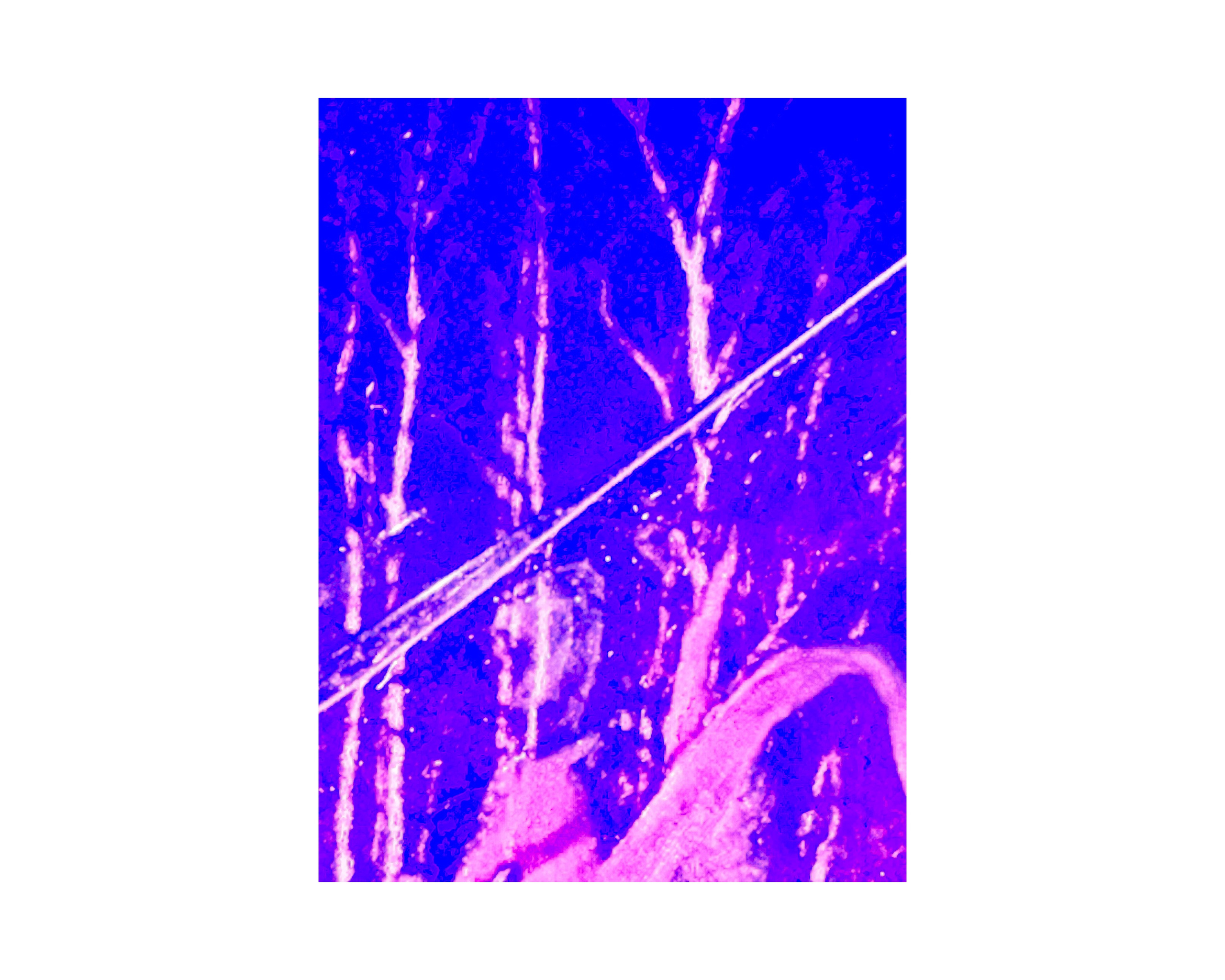 Abstract from Exaggerated Worlds. Ekaterina Tsurkina-Appina Photography Canada