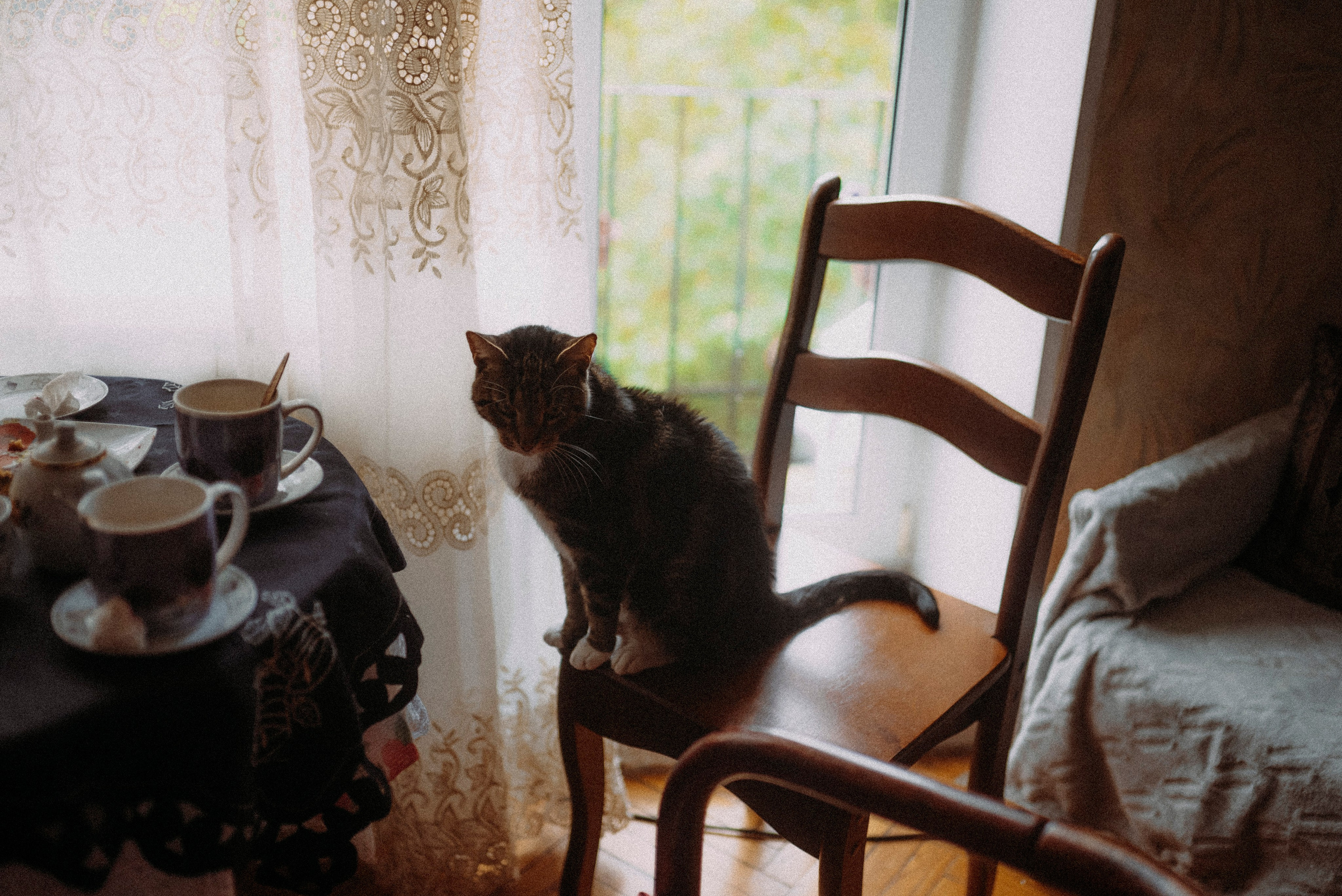 2024. Стрит-фотография, полная абсурда, идиотизма и красоты