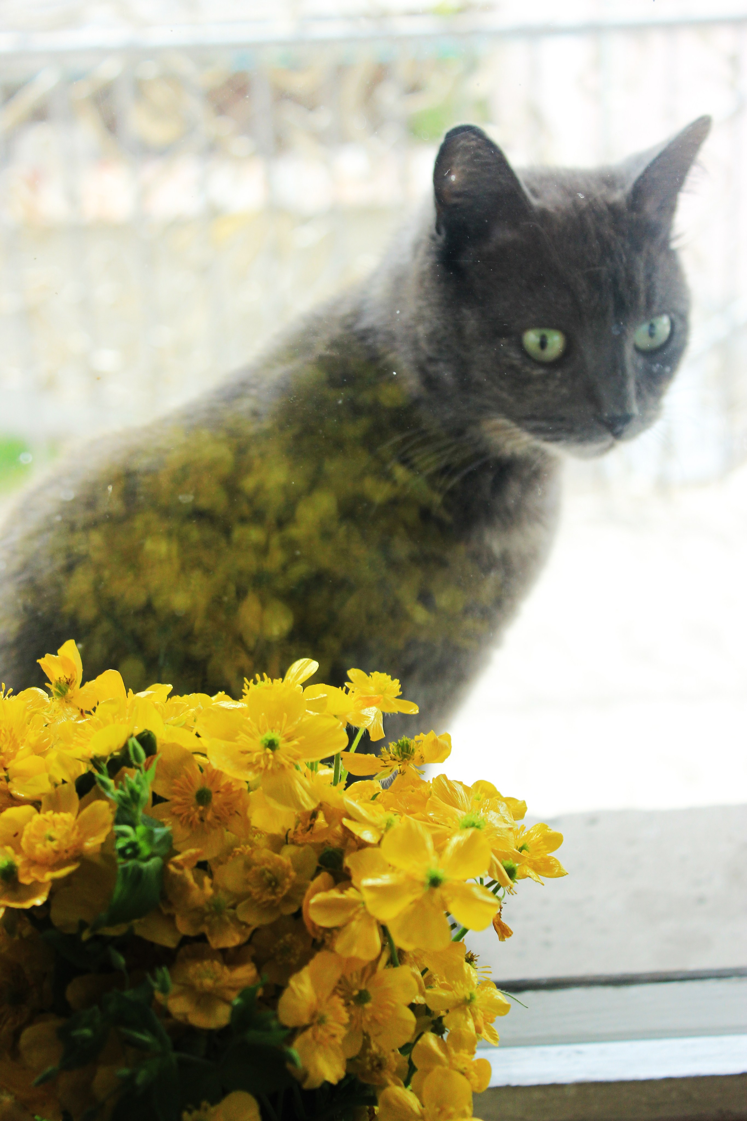 Street photo. Ekaterina Verbitskaya. Photography