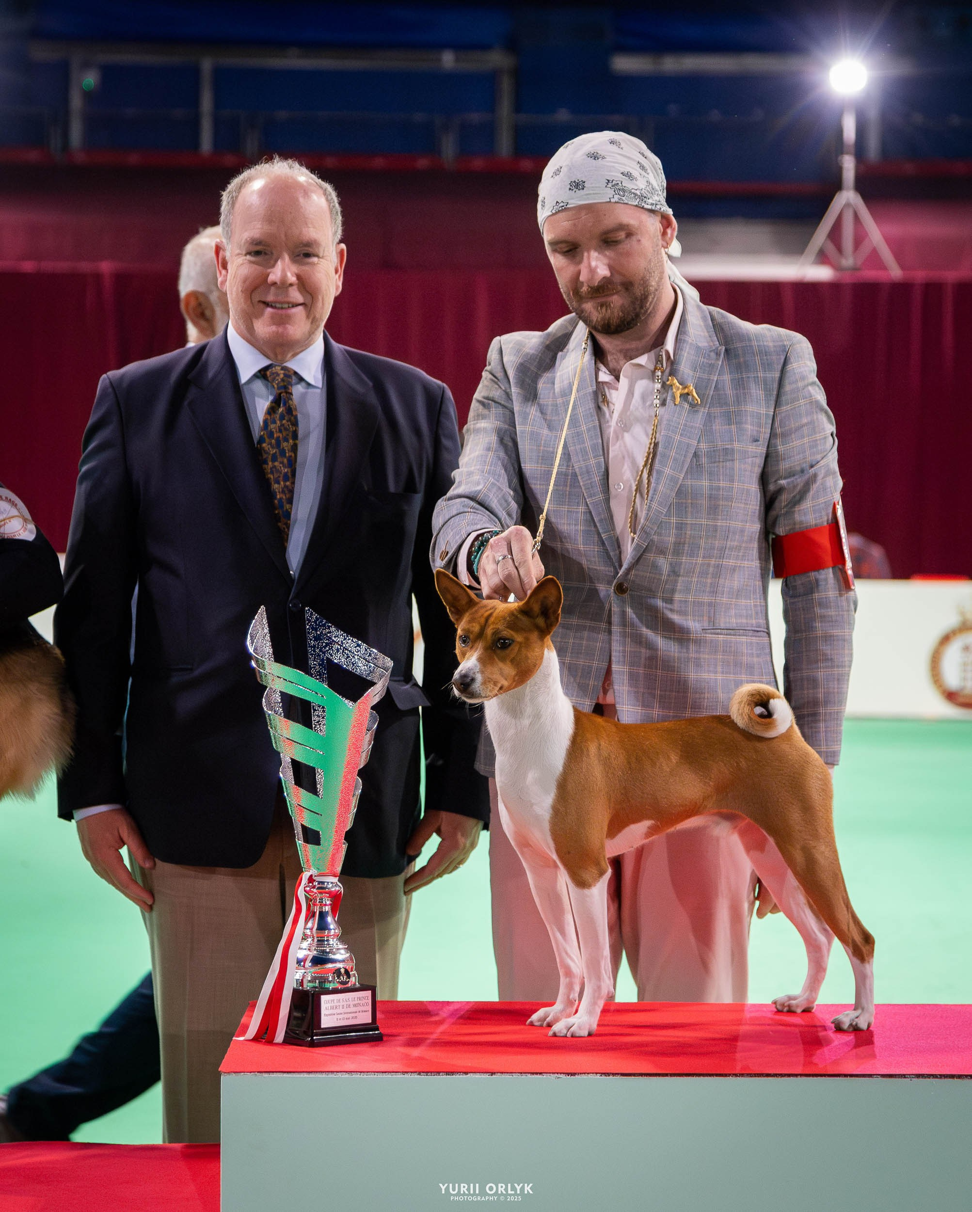 Dog Shows. Yurii Orlyk Photography