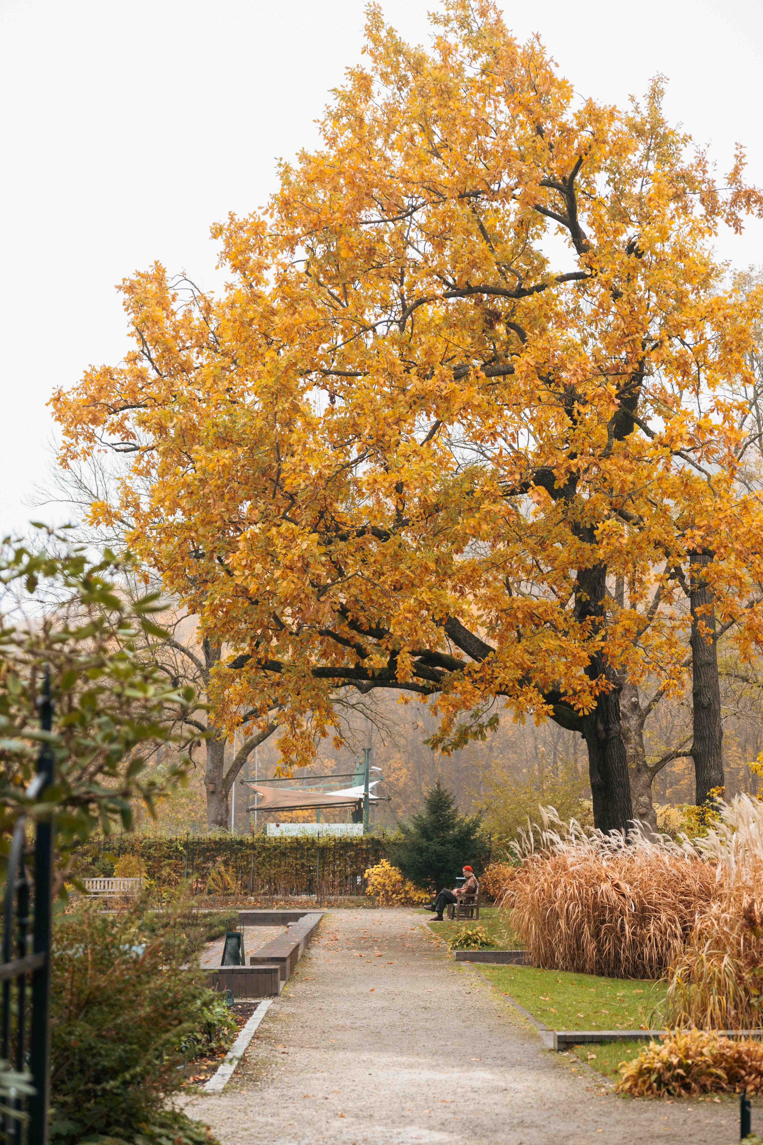 Best Autumn Photoshoot Locations in Vilnius: Top Spots to Capture the Fall Colors. Framed by Evelina | Destination Wedding Photographer from Lithuania | Europe