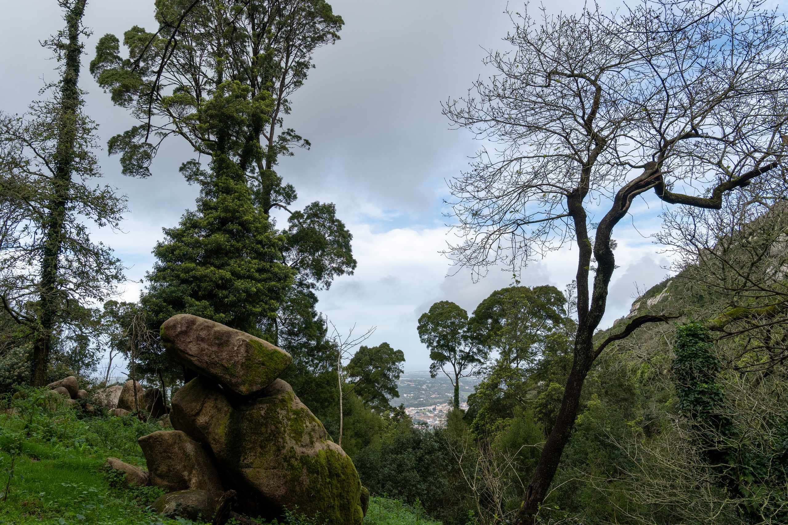 Lisabona 2025. Fotografiideplacere.net