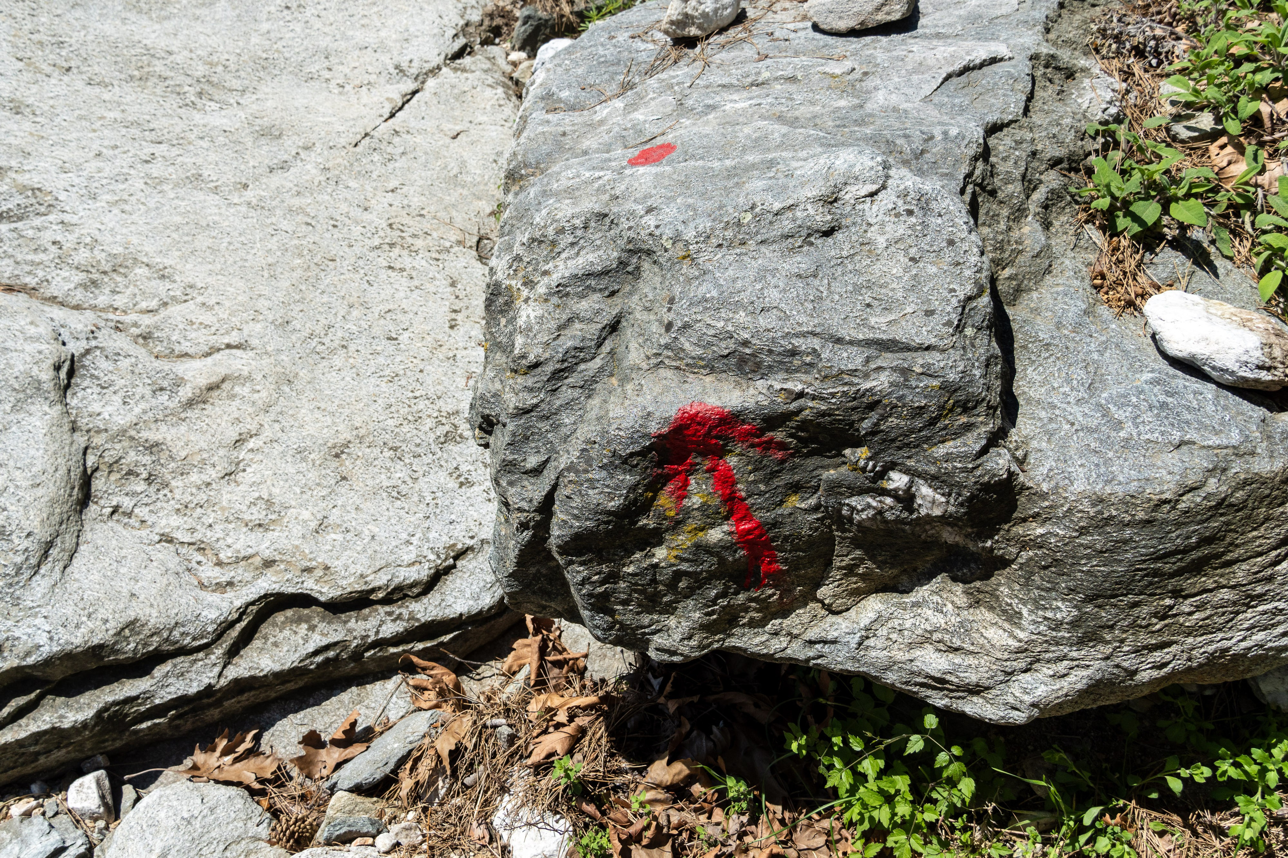 Thasos 2025. Fotografiideplacere.net
