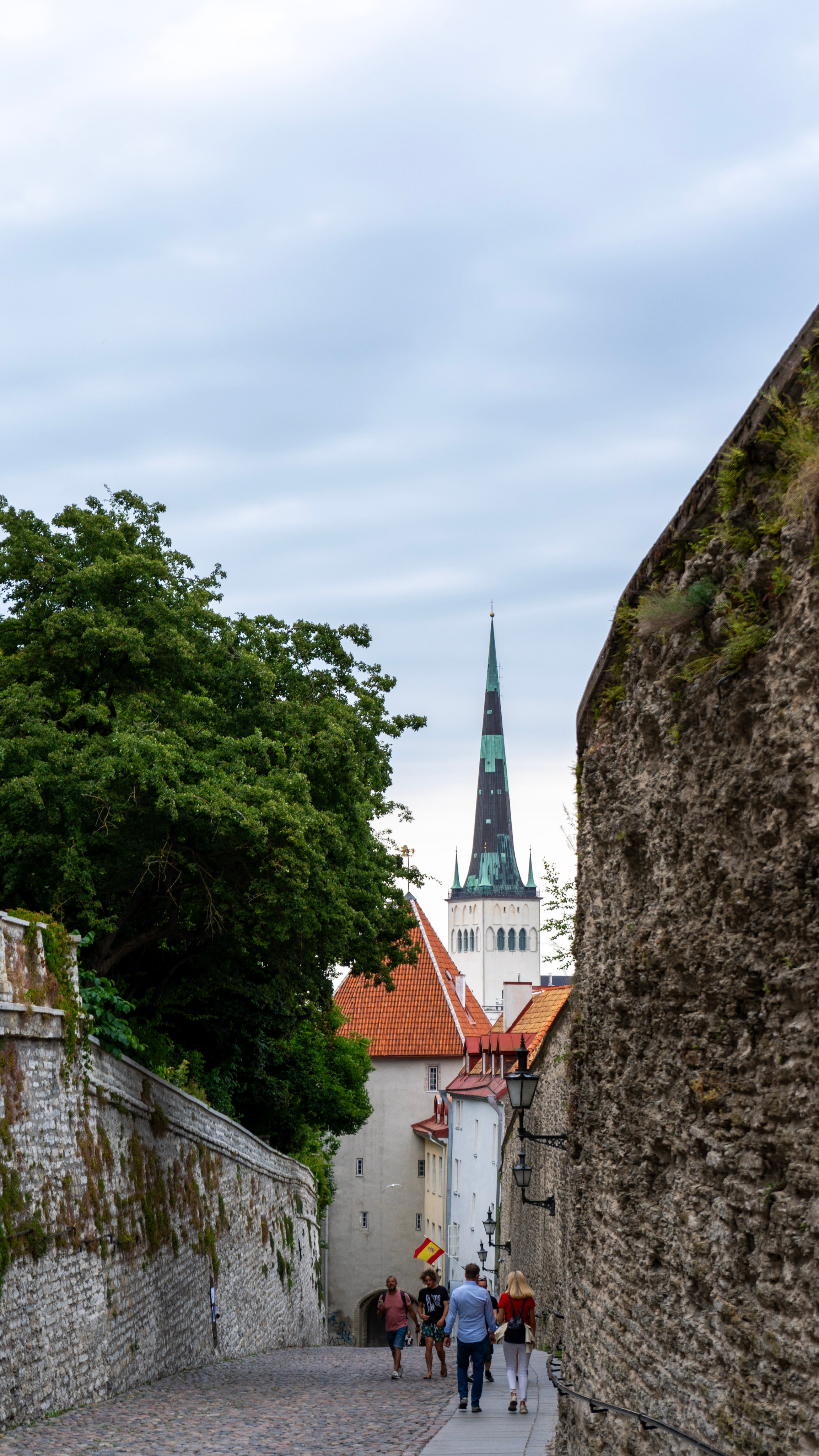 Whispers of Estonia. Photography | Videography | Marketing