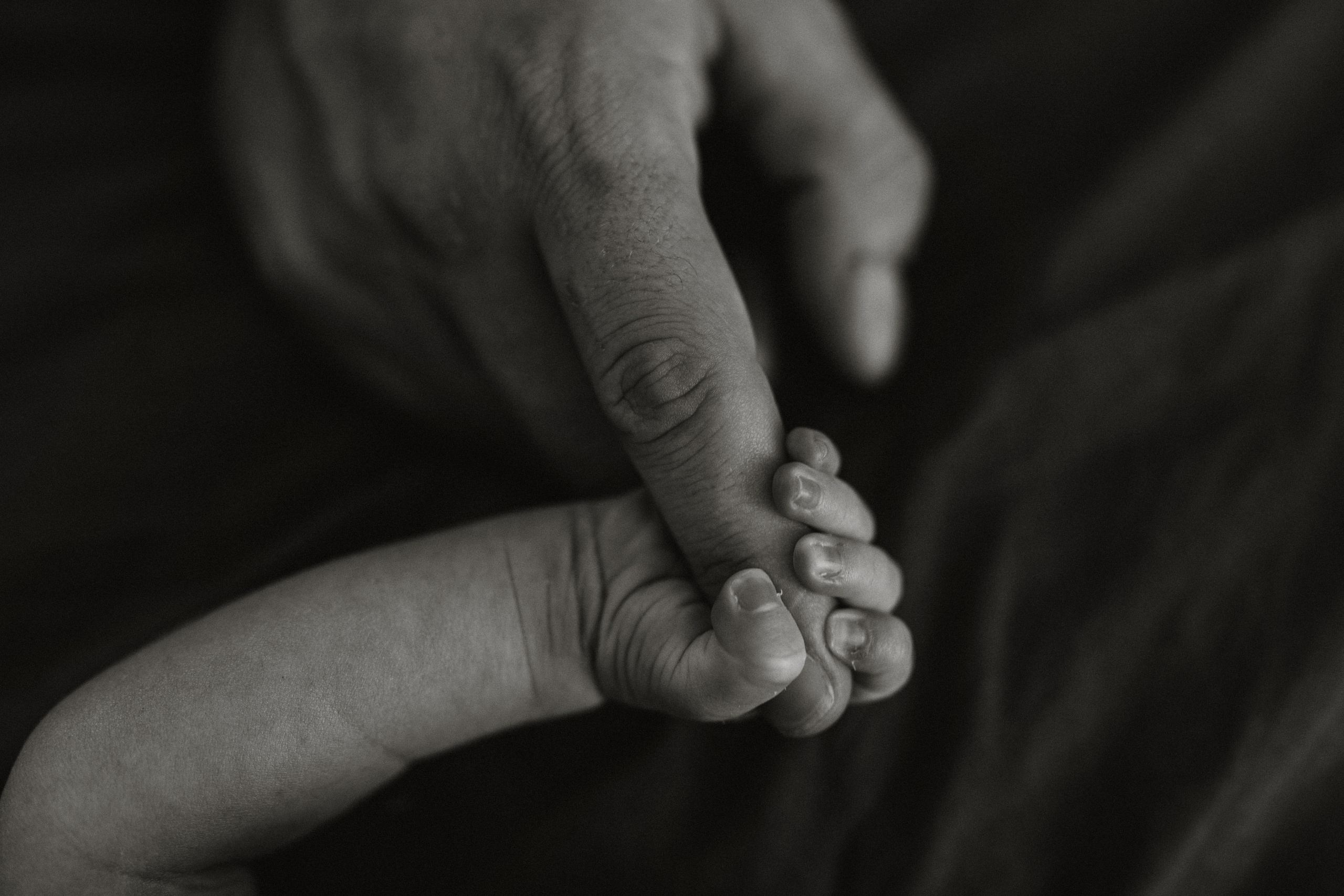 Emily, Kyle, Kinsley. Wedding and family photographer and videographer PA, NJ, NY, DE, MD