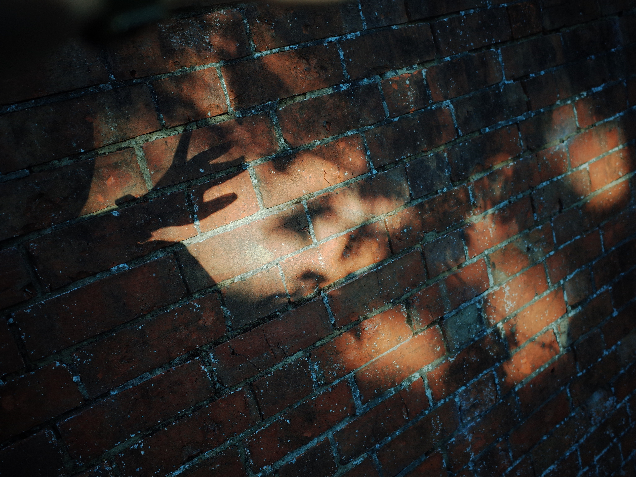 Angry walk of not belonging. Victoria Dini. Art photography in London / Folkestone, UK