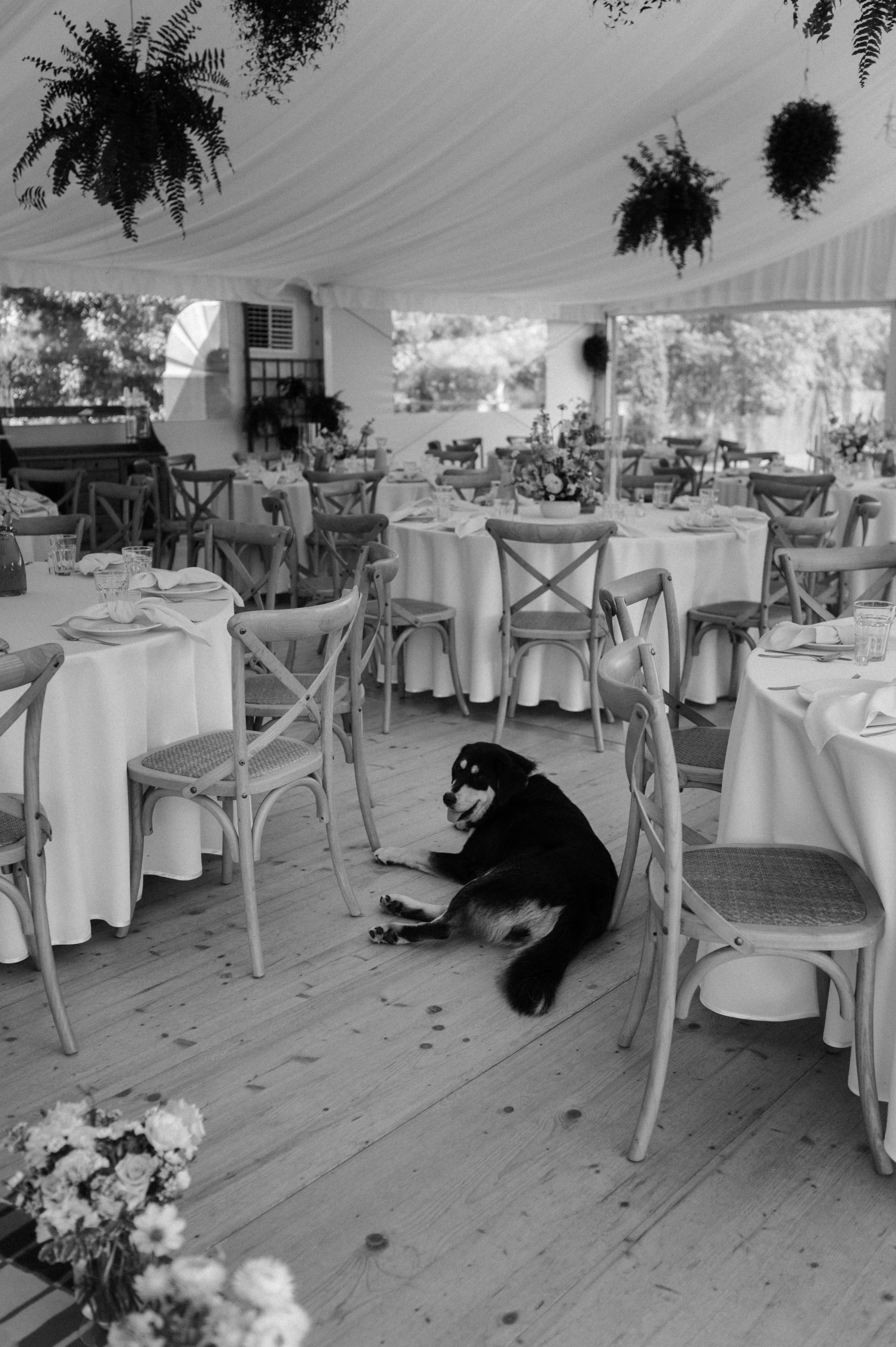 Reportaż Ślubny – Zuzia i Jasiek | Fotograf Ślubny Poznań. Ślubny fotograf Poznań | Oliwia Makara