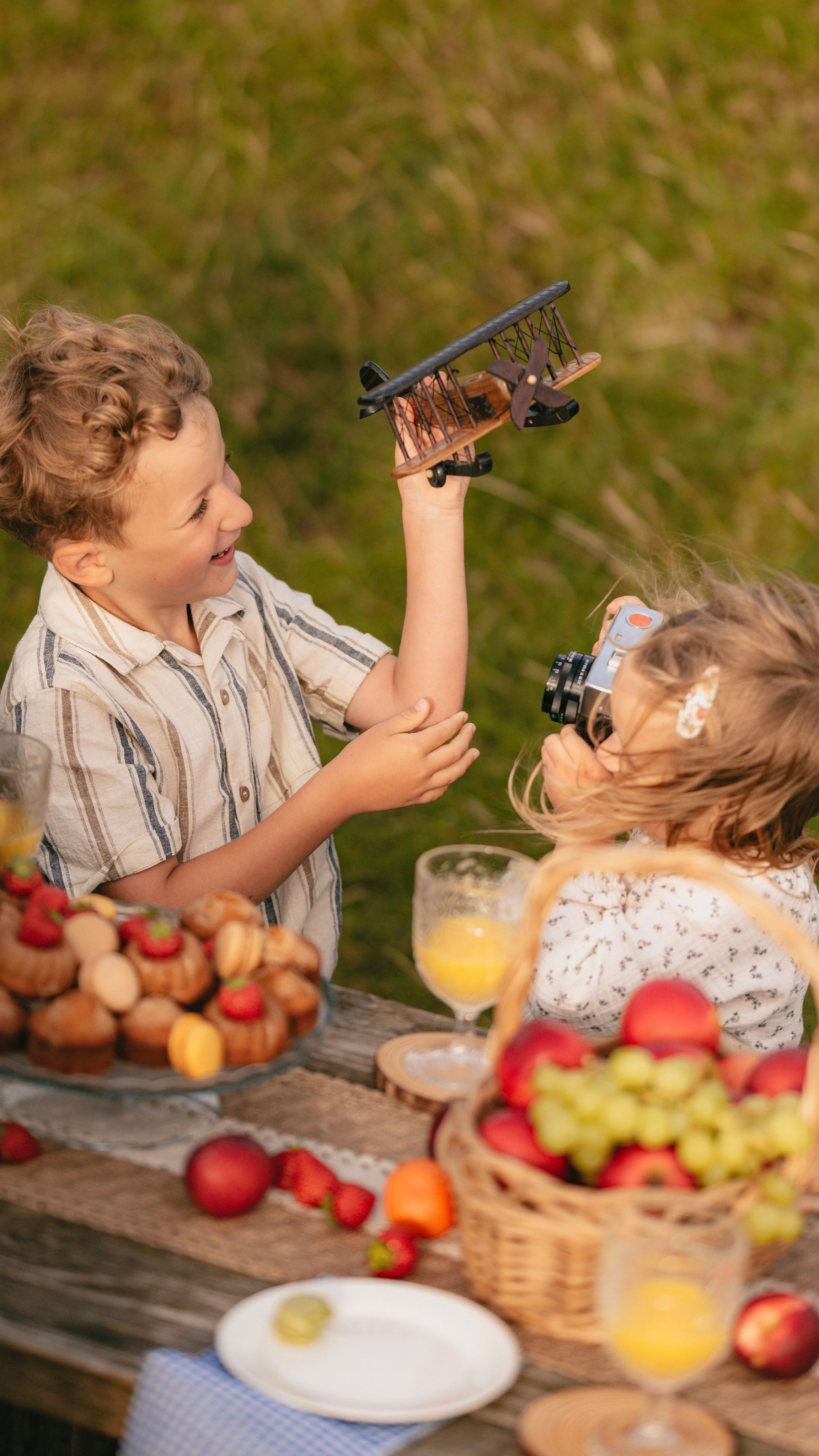 Summer family picnic. Tania Gandrabur, photographer in West Midlands, England