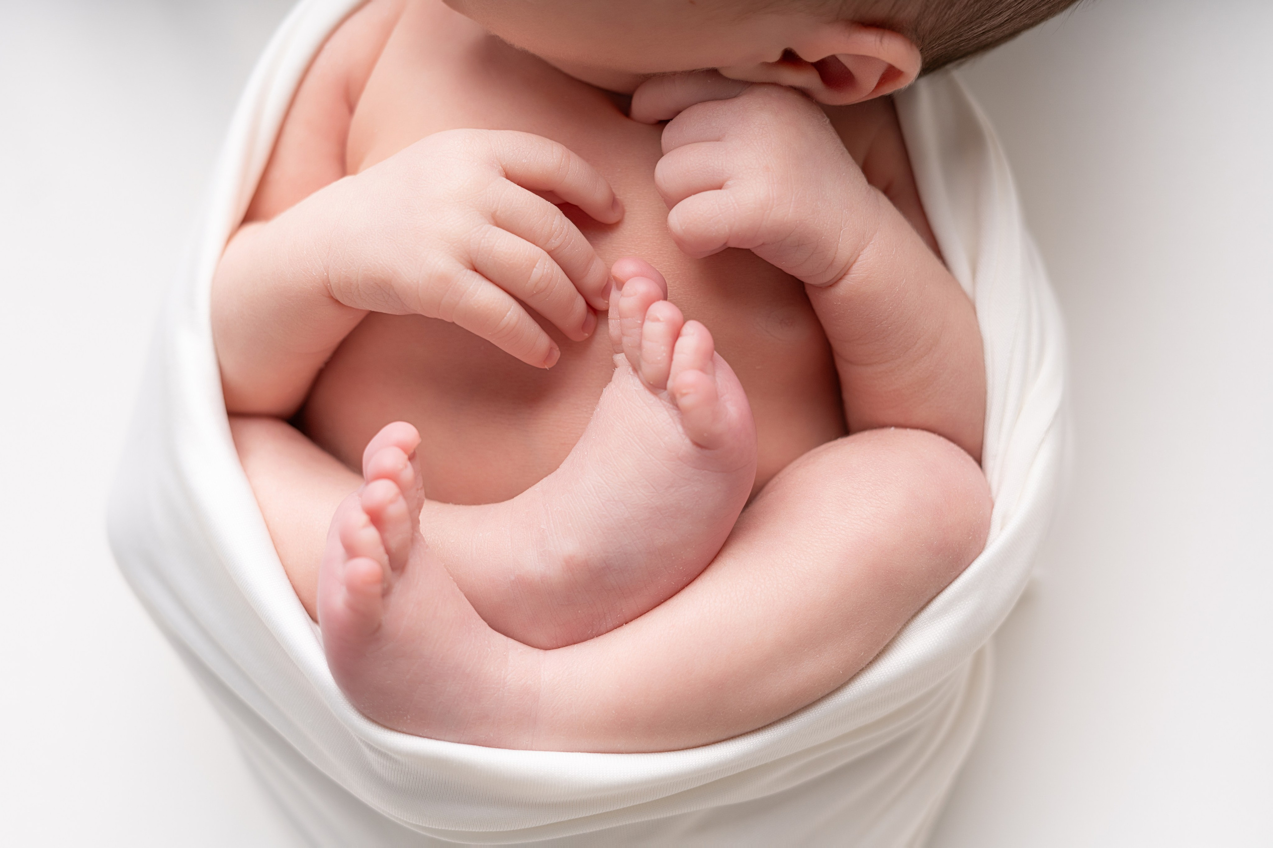 Newborn Photography — Capturing Your Baby’s First Precious Moments. Julia Bolgov Photography | Newborn, Family, Maternity & Milestone Photographer in Bay Area, CA