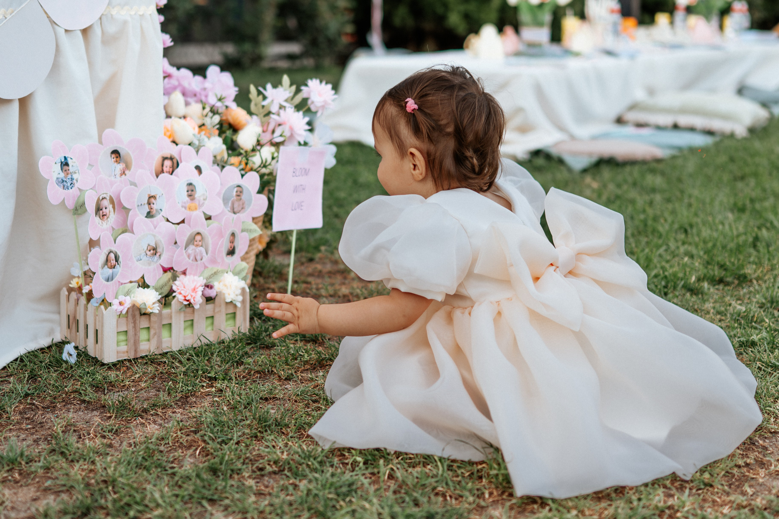 Sofia - 1. rođendan. Dečiji i porodični fotograf