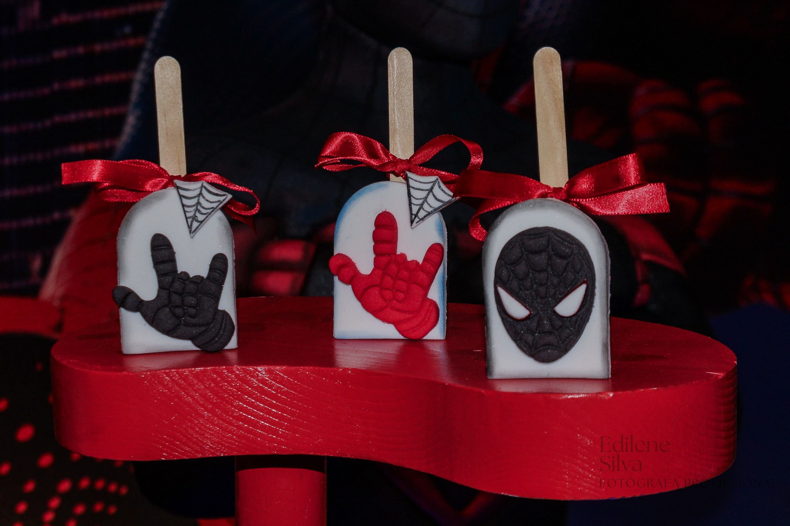 Festa Infantil. Edilene Silva Fotografa Profissional