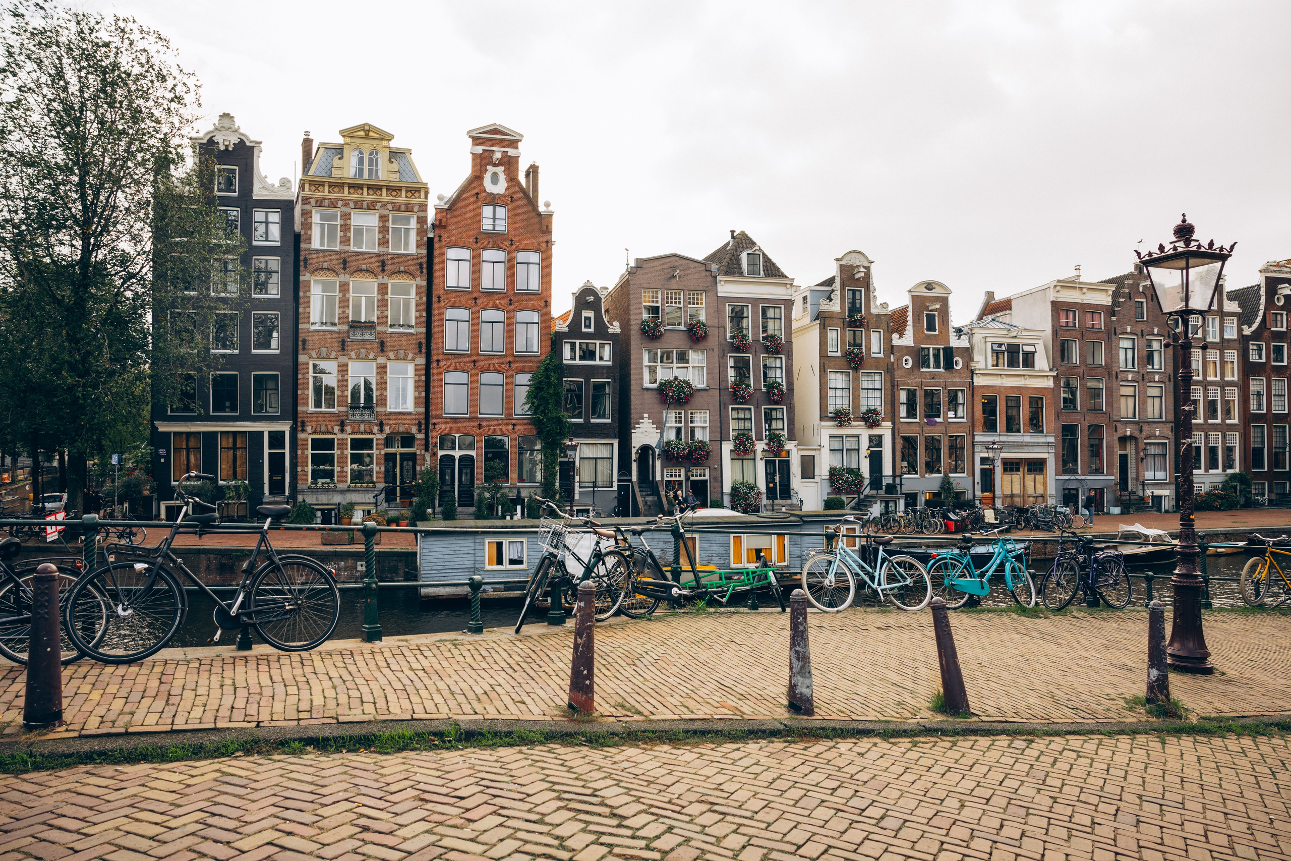 Amsterdam Photographer, Families, Couples & Expats — Diana Andoni