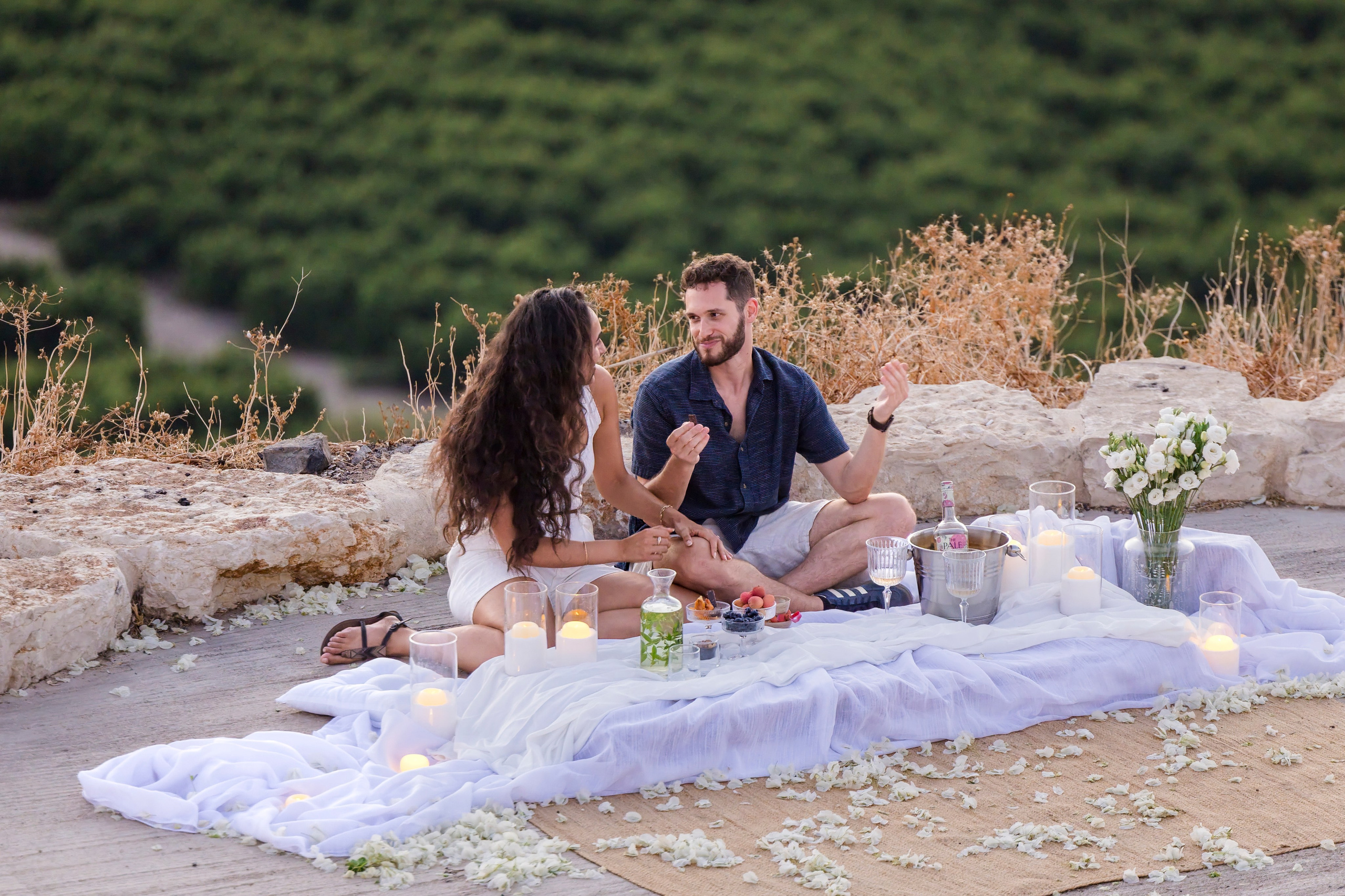Lee & Segev Proposal