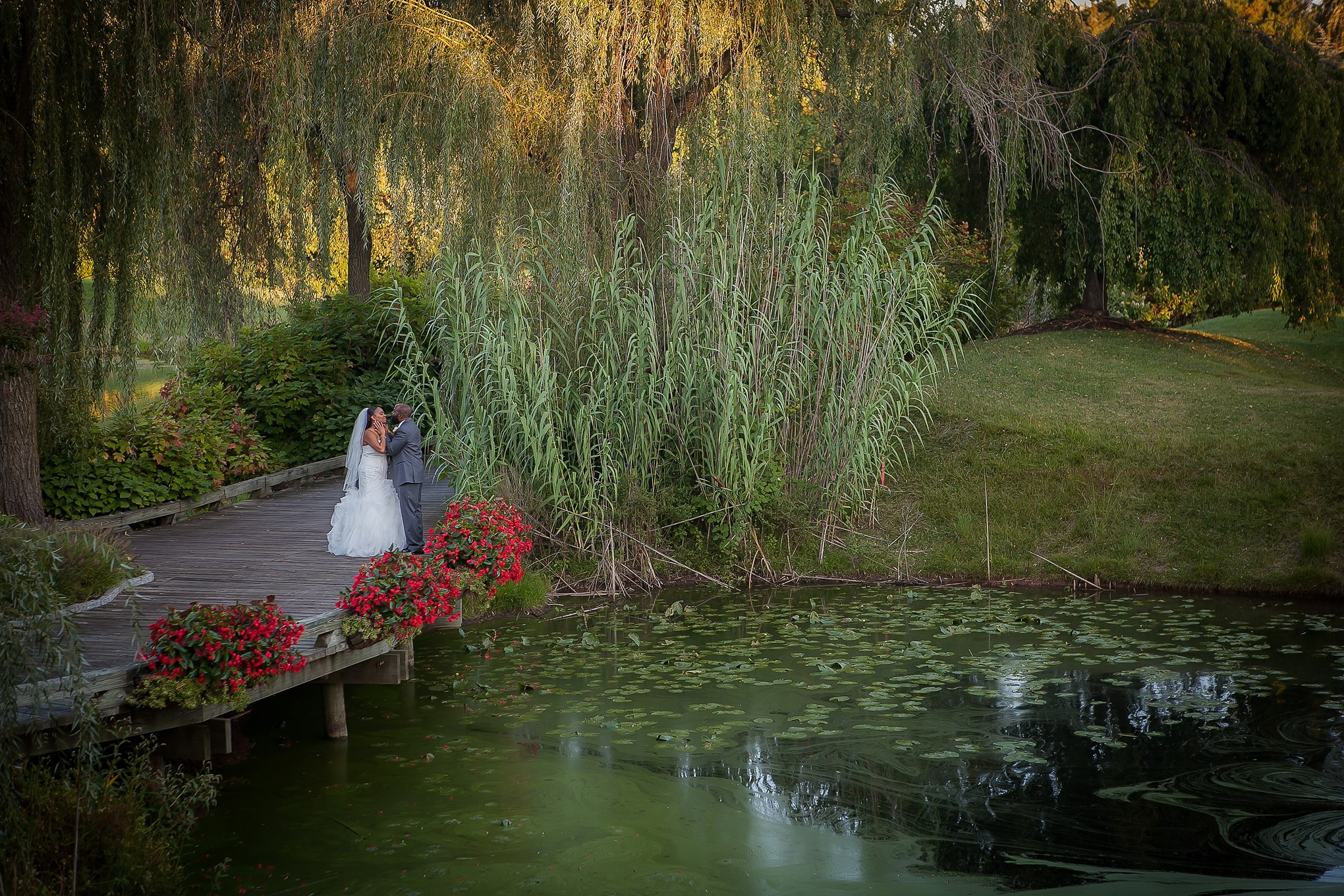 Lana Photography — Wedding & Family Photographer in Florida & Beyond