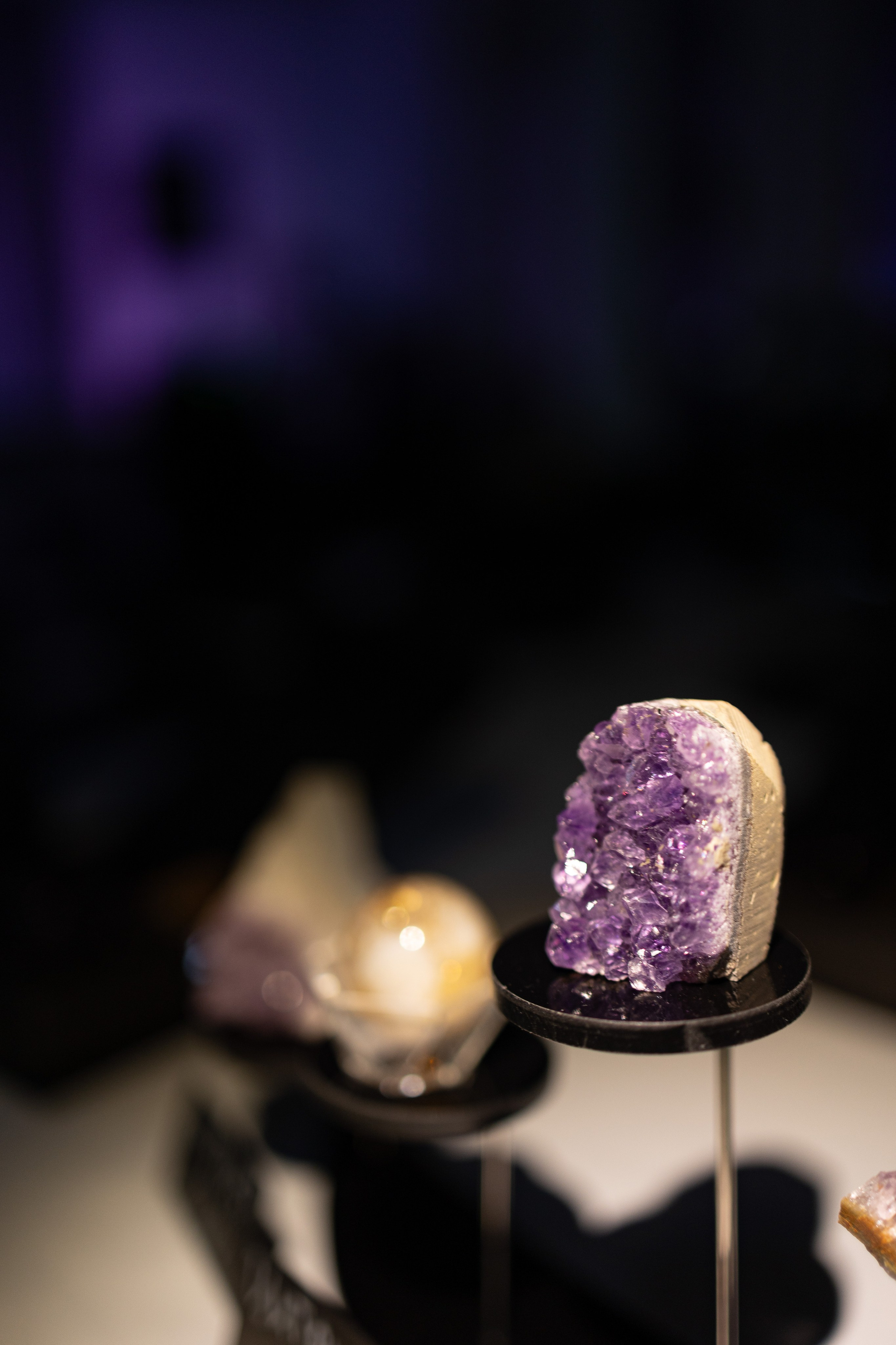 AstroBrut Conference. Wedding and family photographer