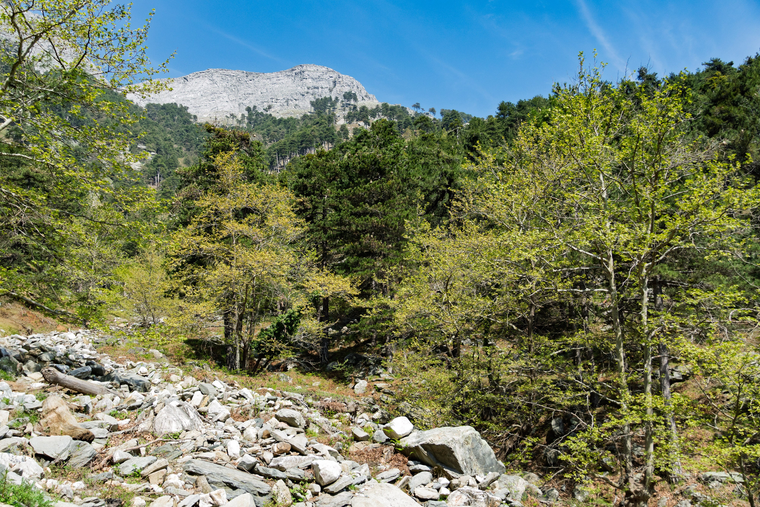 Thasos 2025. Fotografiideplacere.net