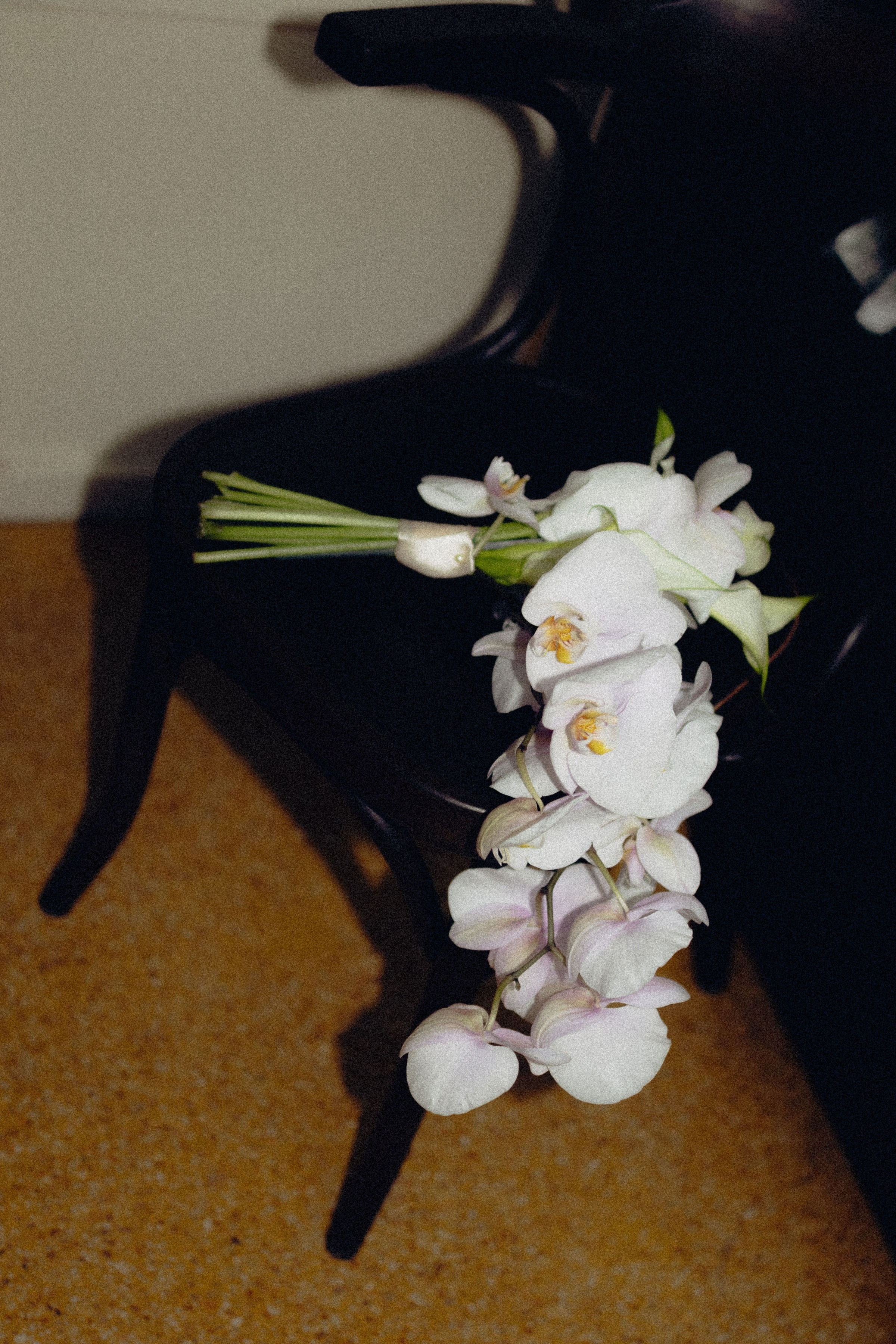 Galerie complète. Hojra Studio - Wedding photographer