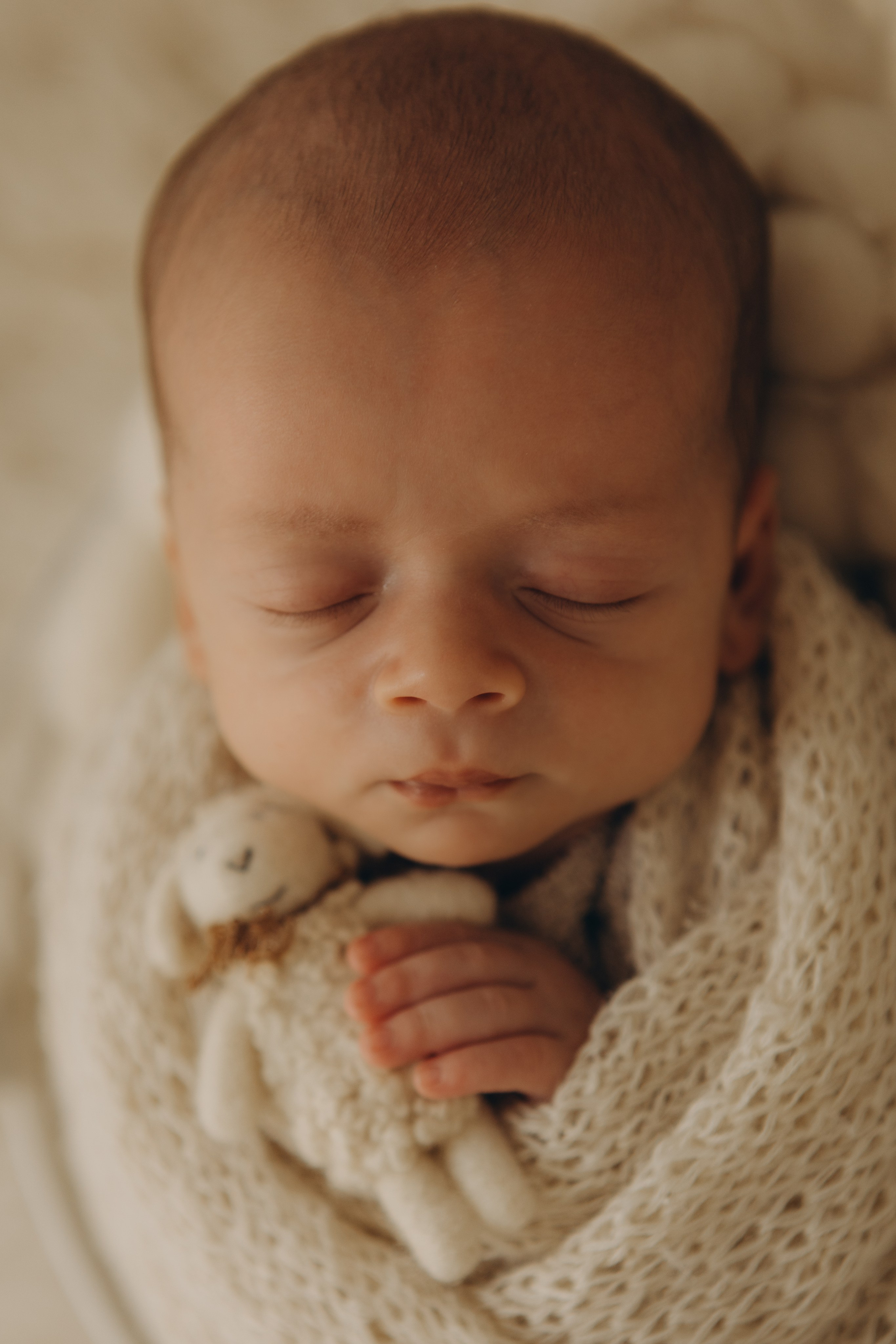 newborn envolto em manta neutra em estúdio com luz natural em Sorocaba