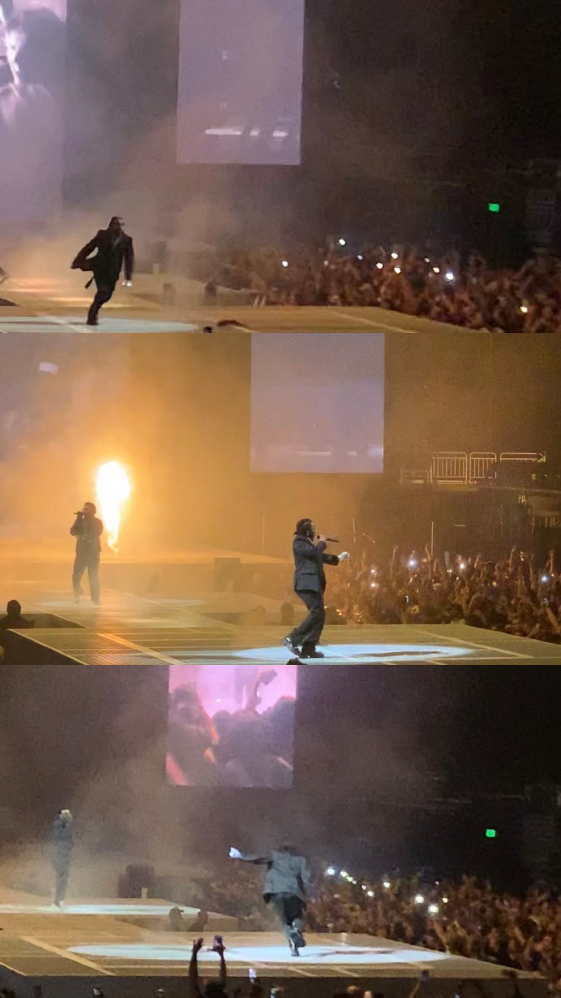 Lens Work From The Field 4