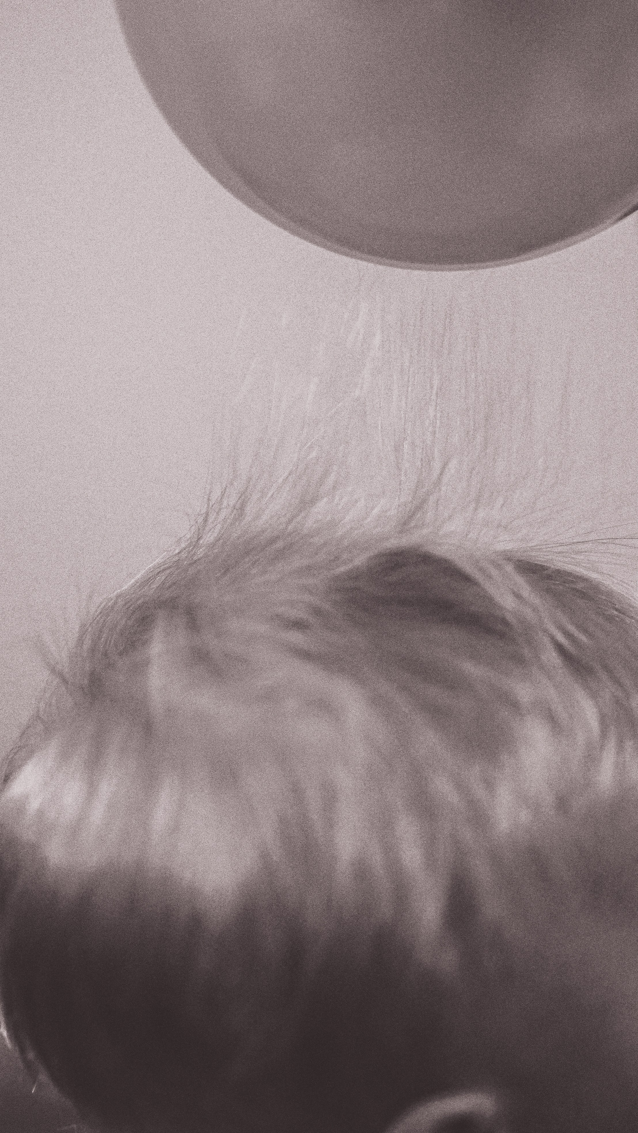 Mother Earth: Proiect de Fotografie Maternitate | Mădălina Beda. Madalina Beda- Artist vizual, fotograf, doula la nastere, consultant babywearing Brasov si in toata tara