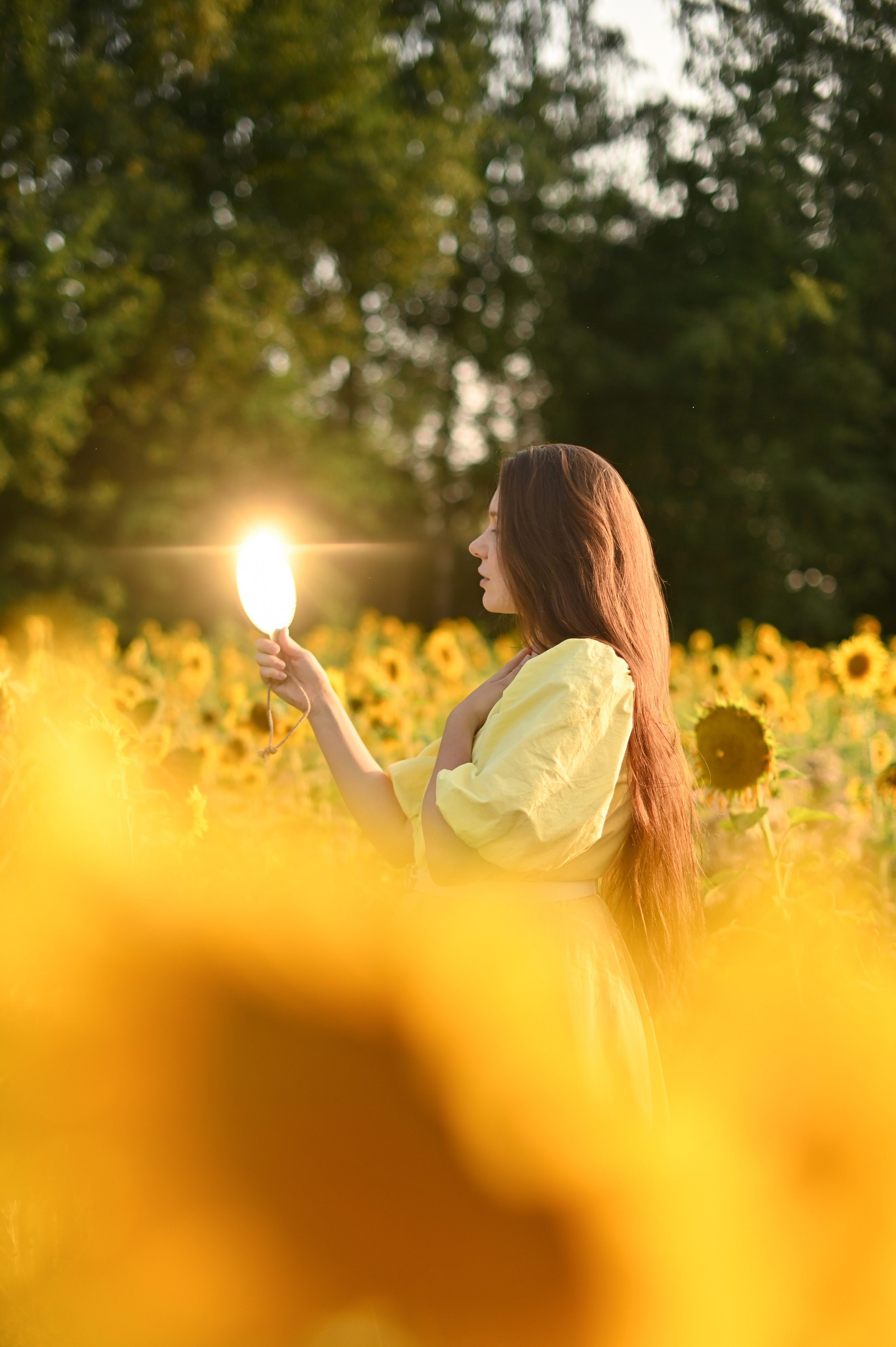 Подсолнухи. Детский и семейный фотограф в финляндии дина пулкка. контент фотограф