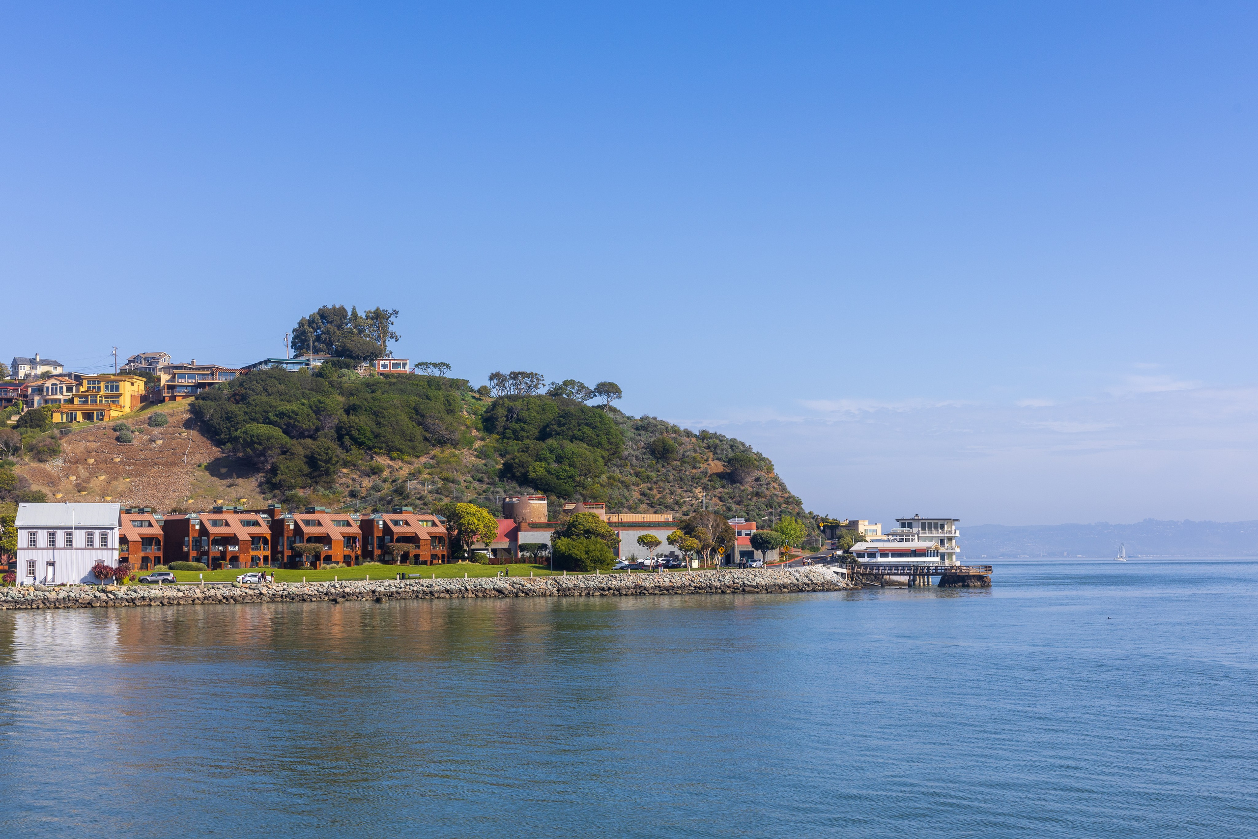 San Francisco. Aleks.photo | Book a photoshoot