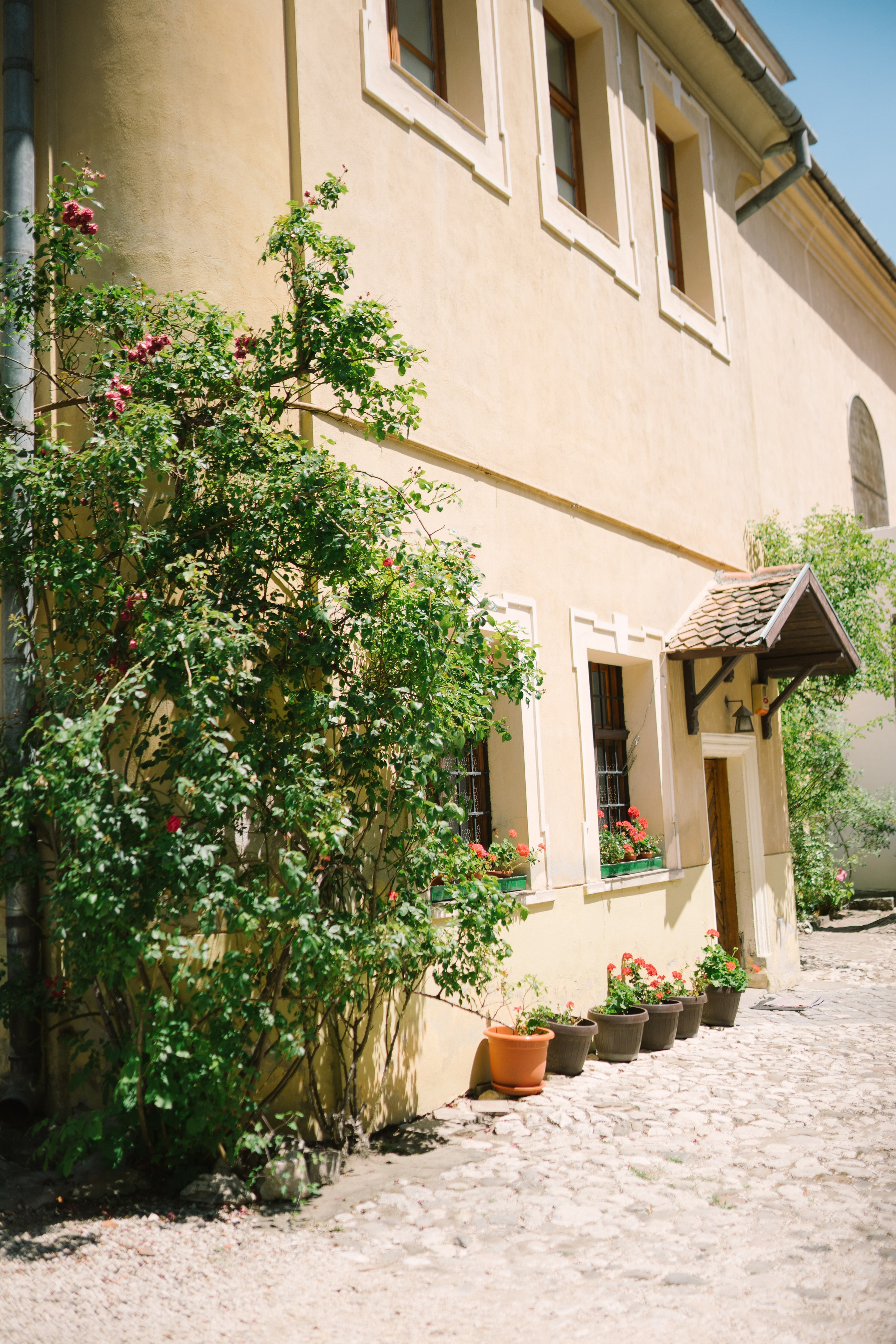 Fotografie de Eveniment Brașov: Povești Vizuale | Mădălina Beda. Madalina Beda- Artist vizual, fotograf, doula la nastere, consultant babywearing Brasov si in toata tara