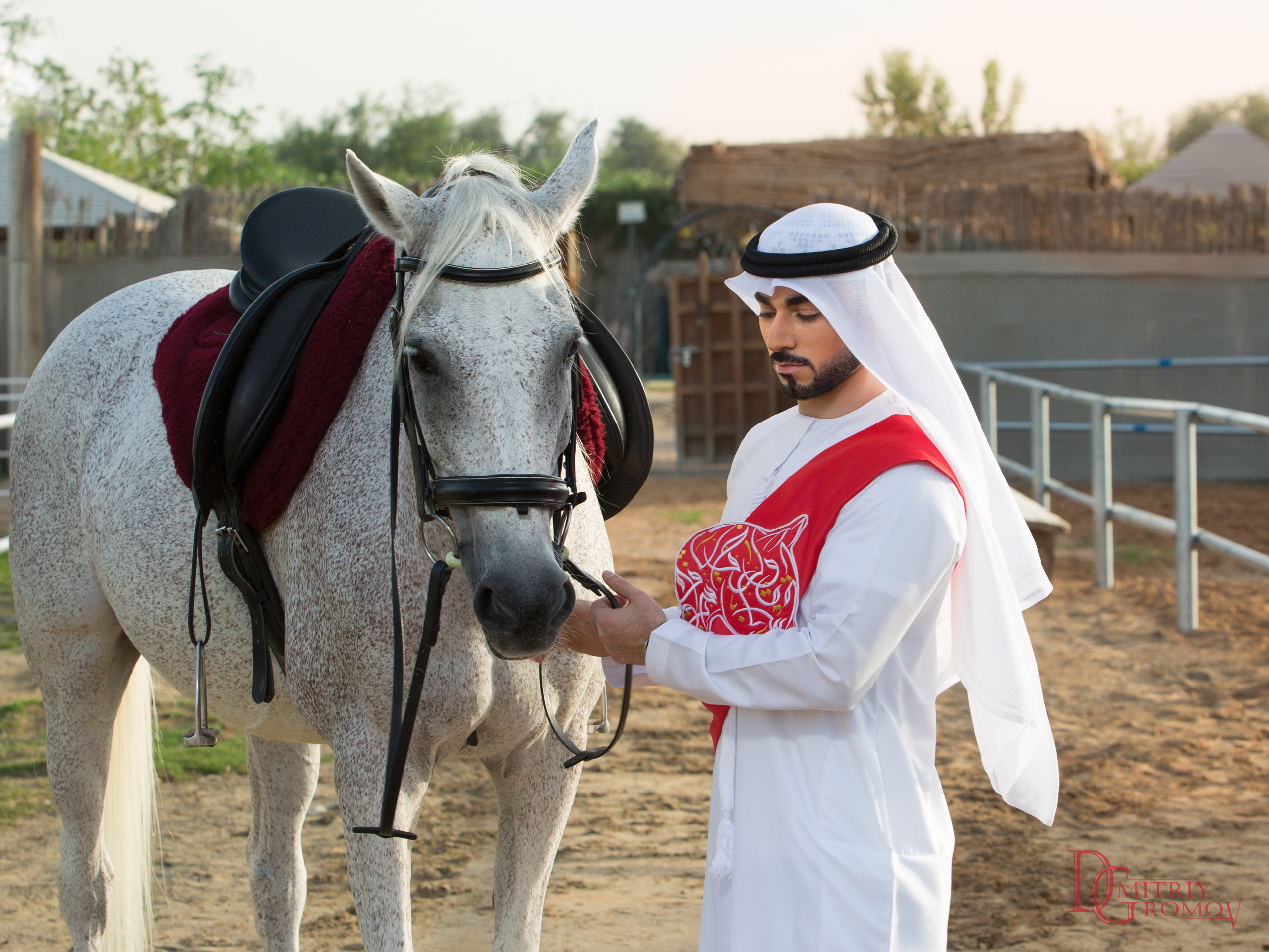 Photographer and videographer in Dubai Dmitry Gromov