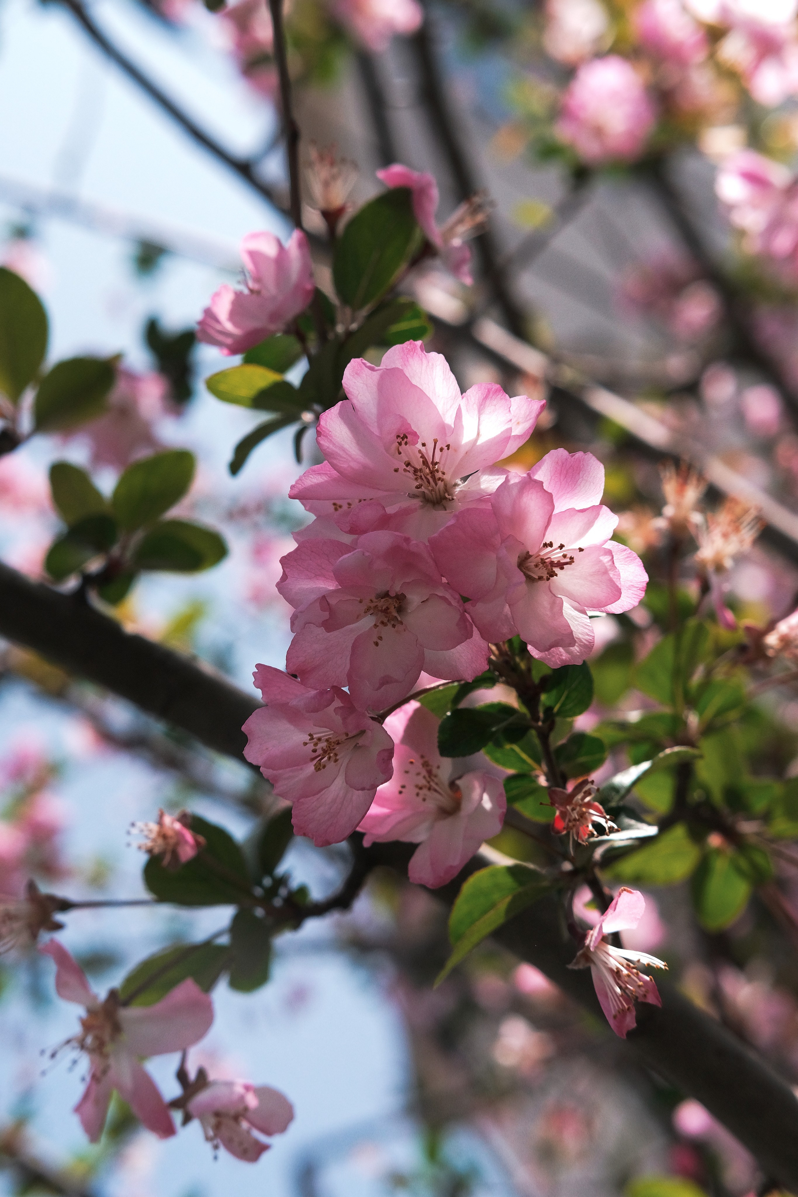 Shanghai Street Photography | China