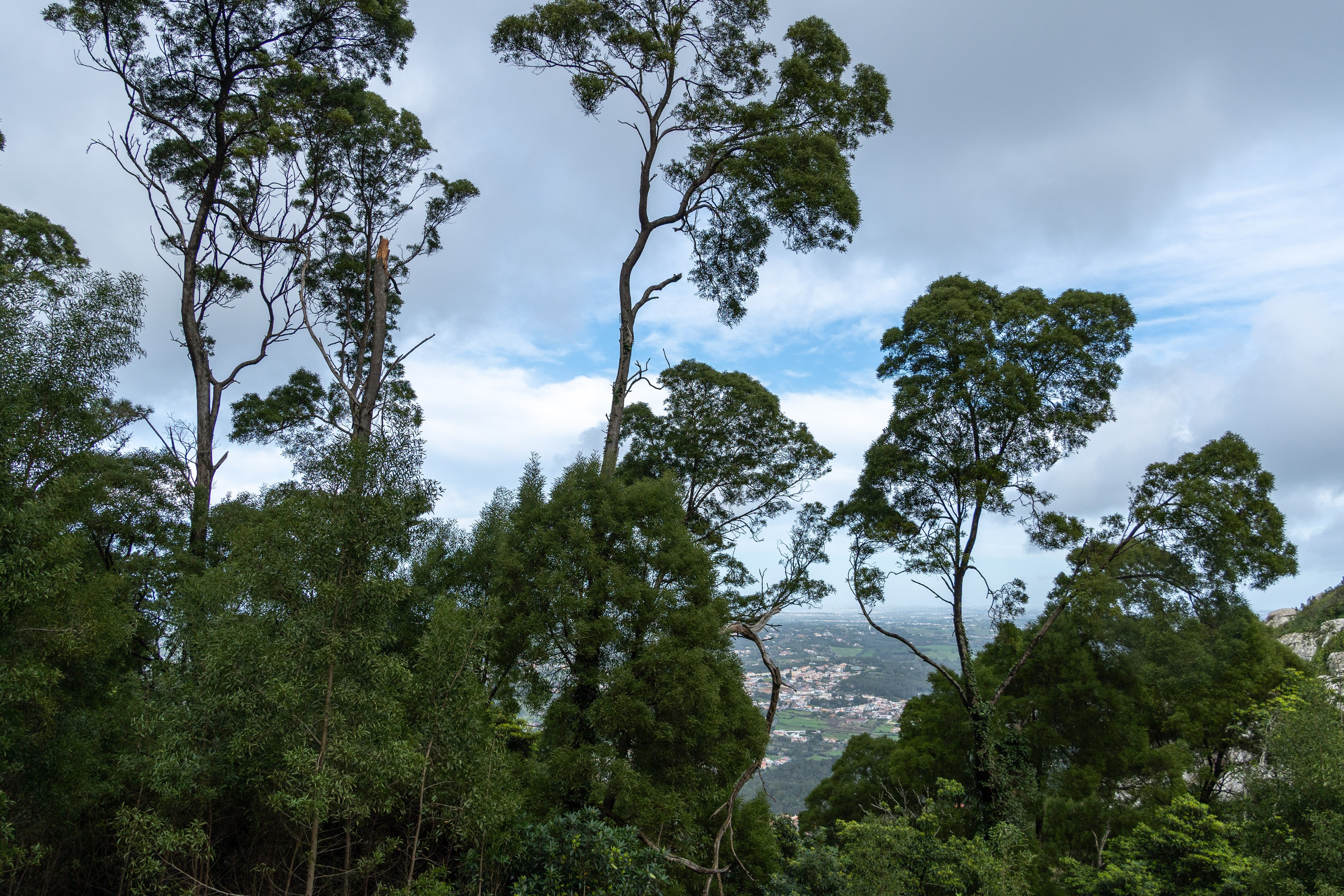 Lisabona 2025. Fotografiideplacere.net