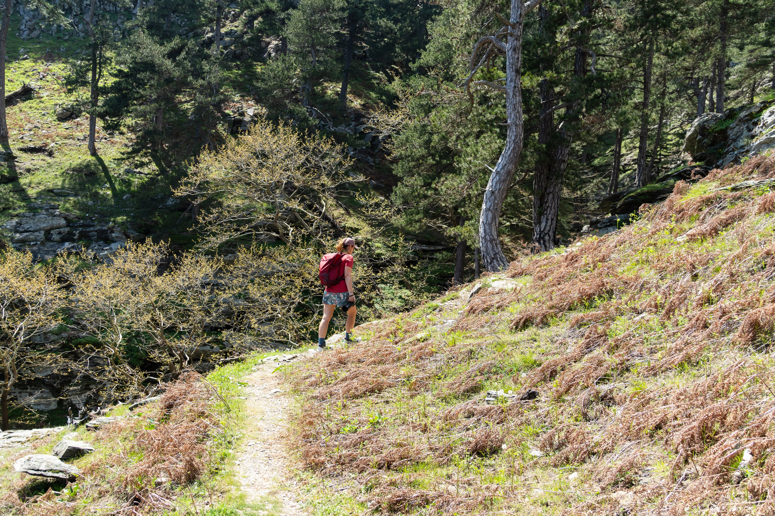 Thasos 2025. Fotografiideplacere.net