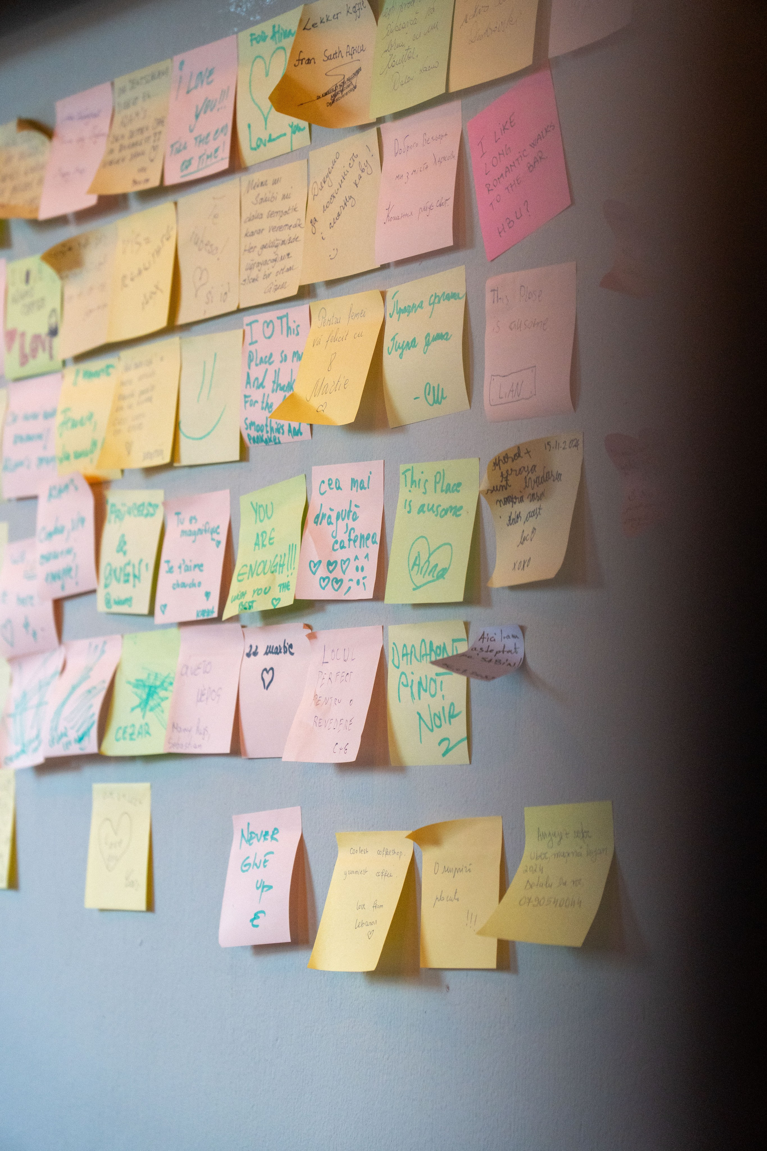 Adam’s. Creste si calatoreste