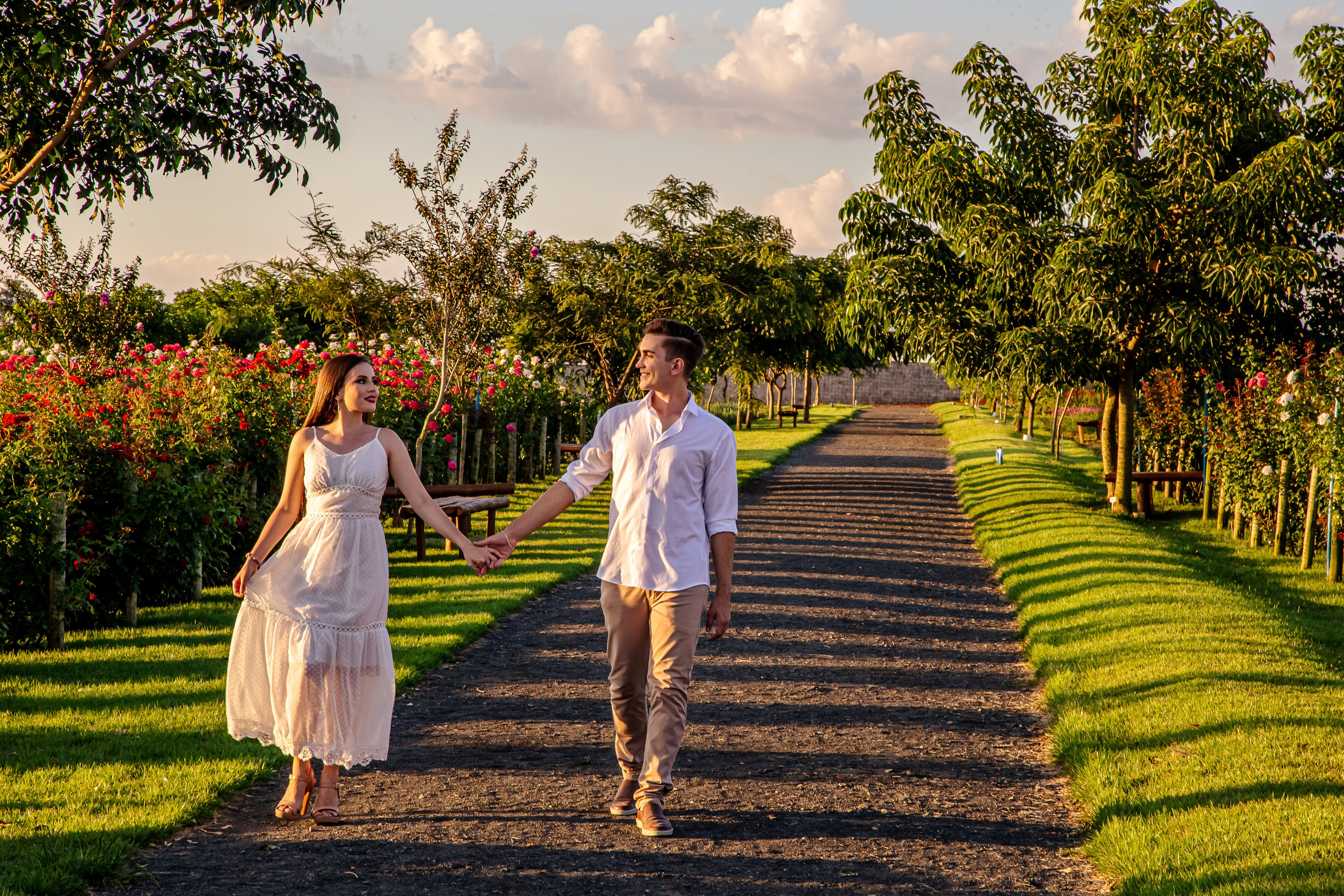 ensaio holambra pre wedding