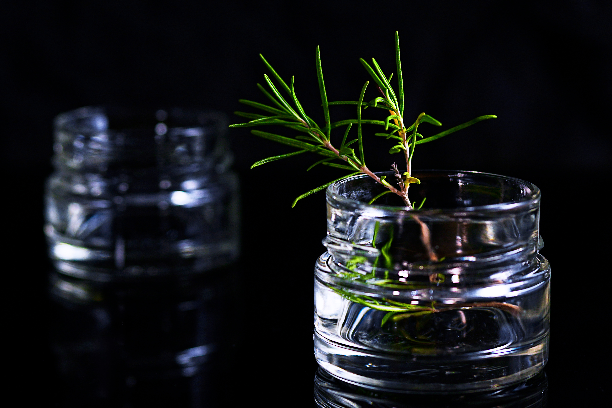 Food Fotografie. LUKIN IGOR Photography