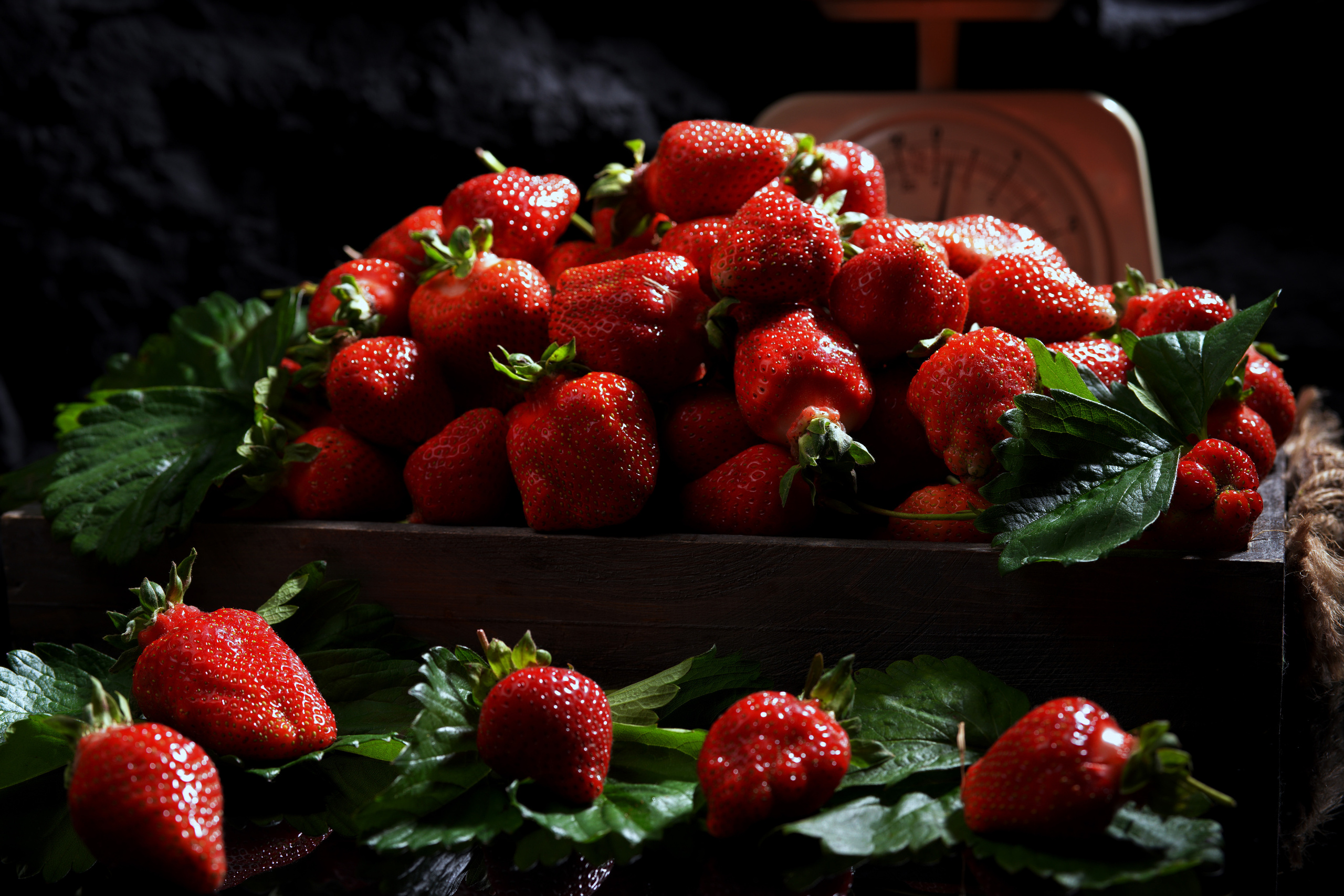 Food Fotografie. LUKIN IGOR Photography