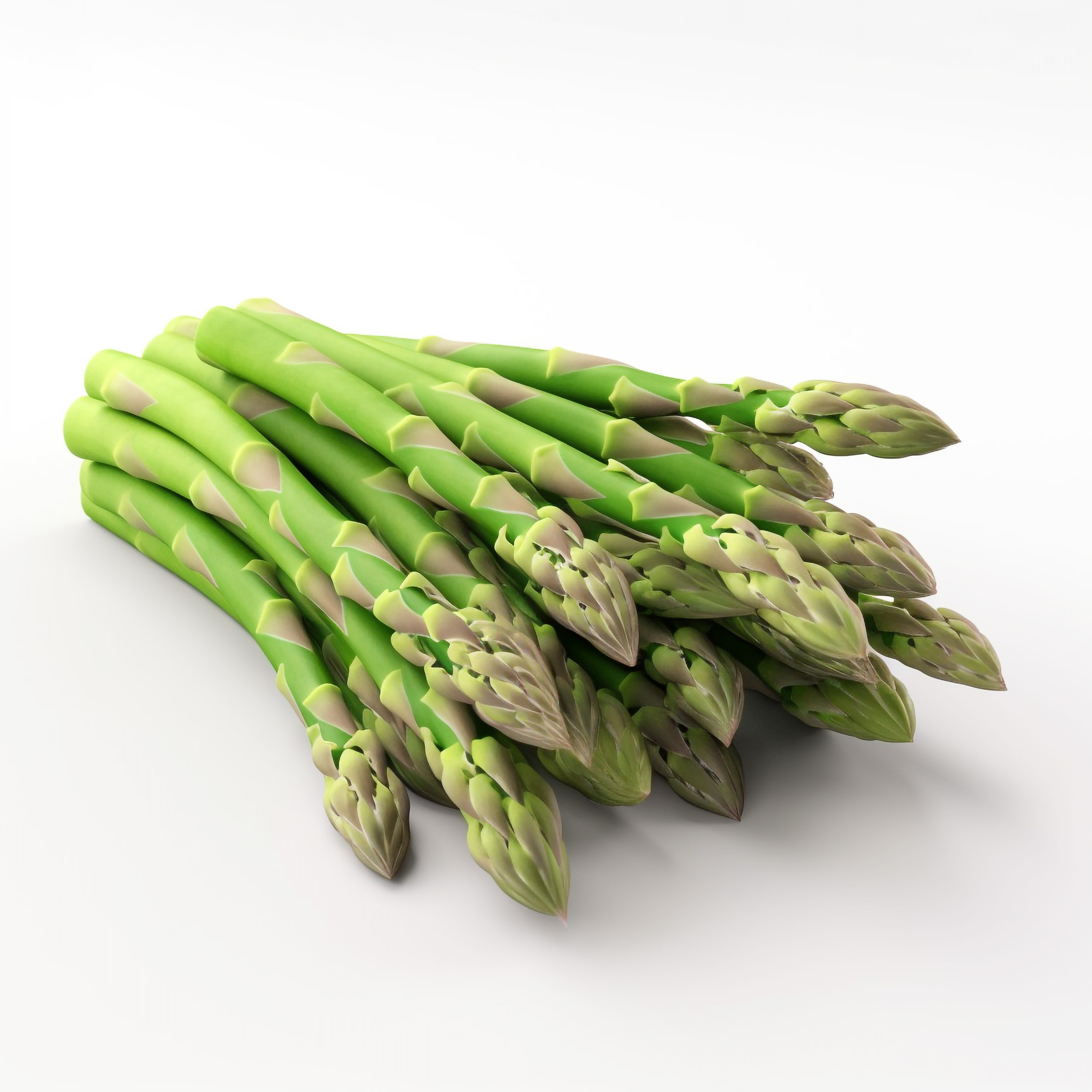 NEURALE FOTOS_BILDER. LUKIN IGOR Photography