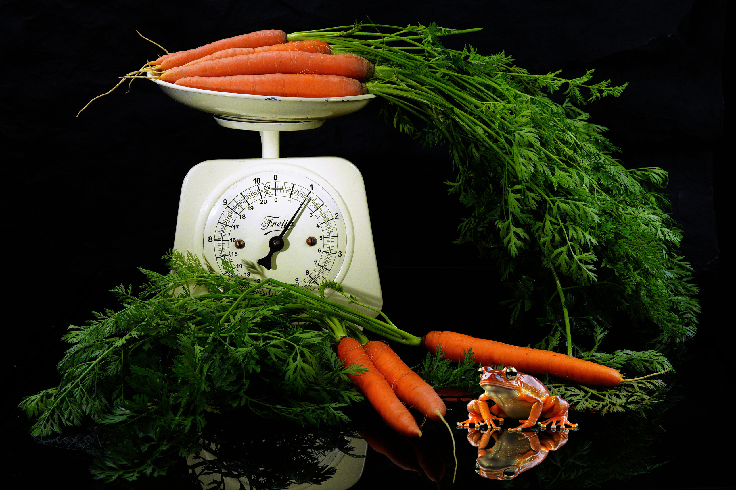 Food Fotografie. LUKIN IGOR Photography