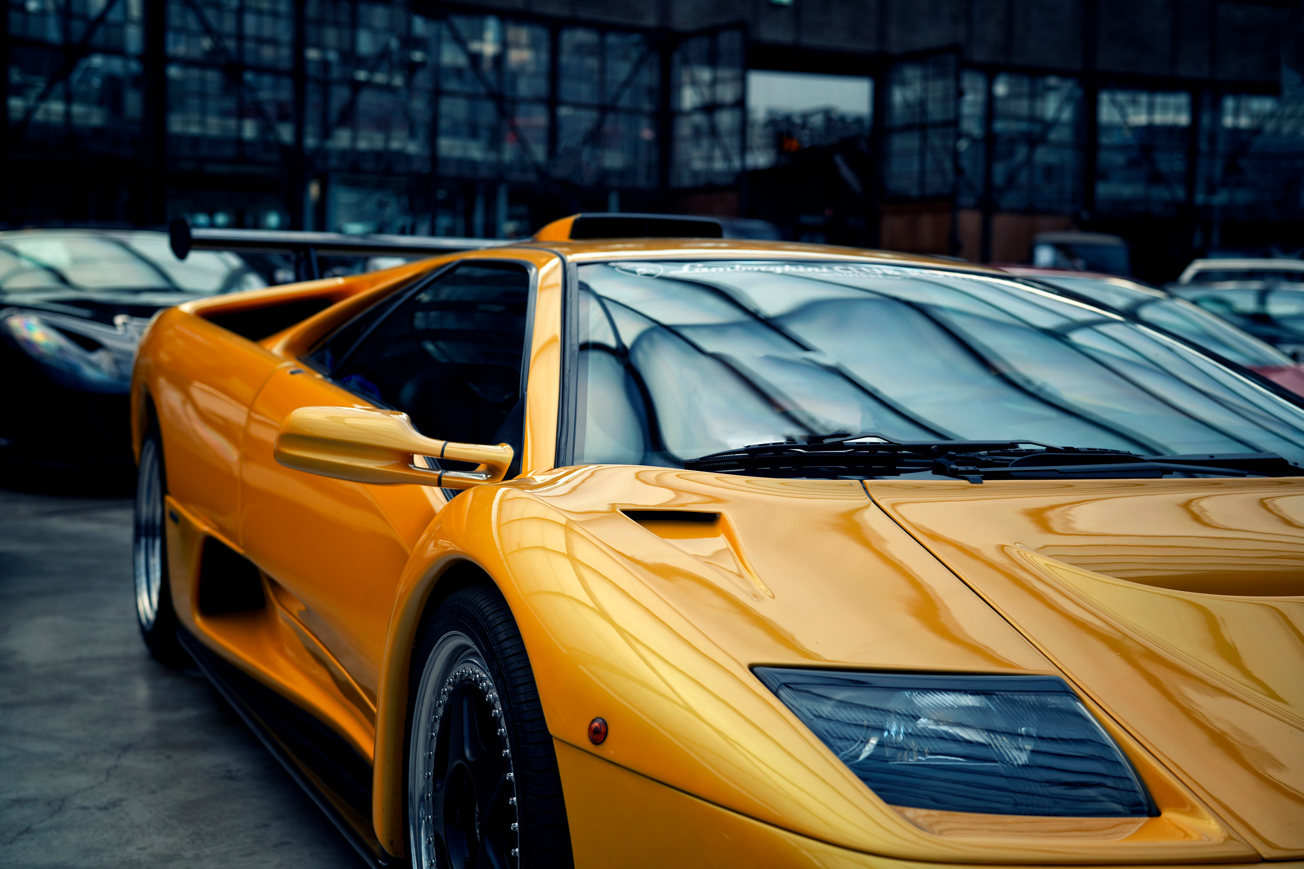 Для Миши. LUKIN IGOR Photography