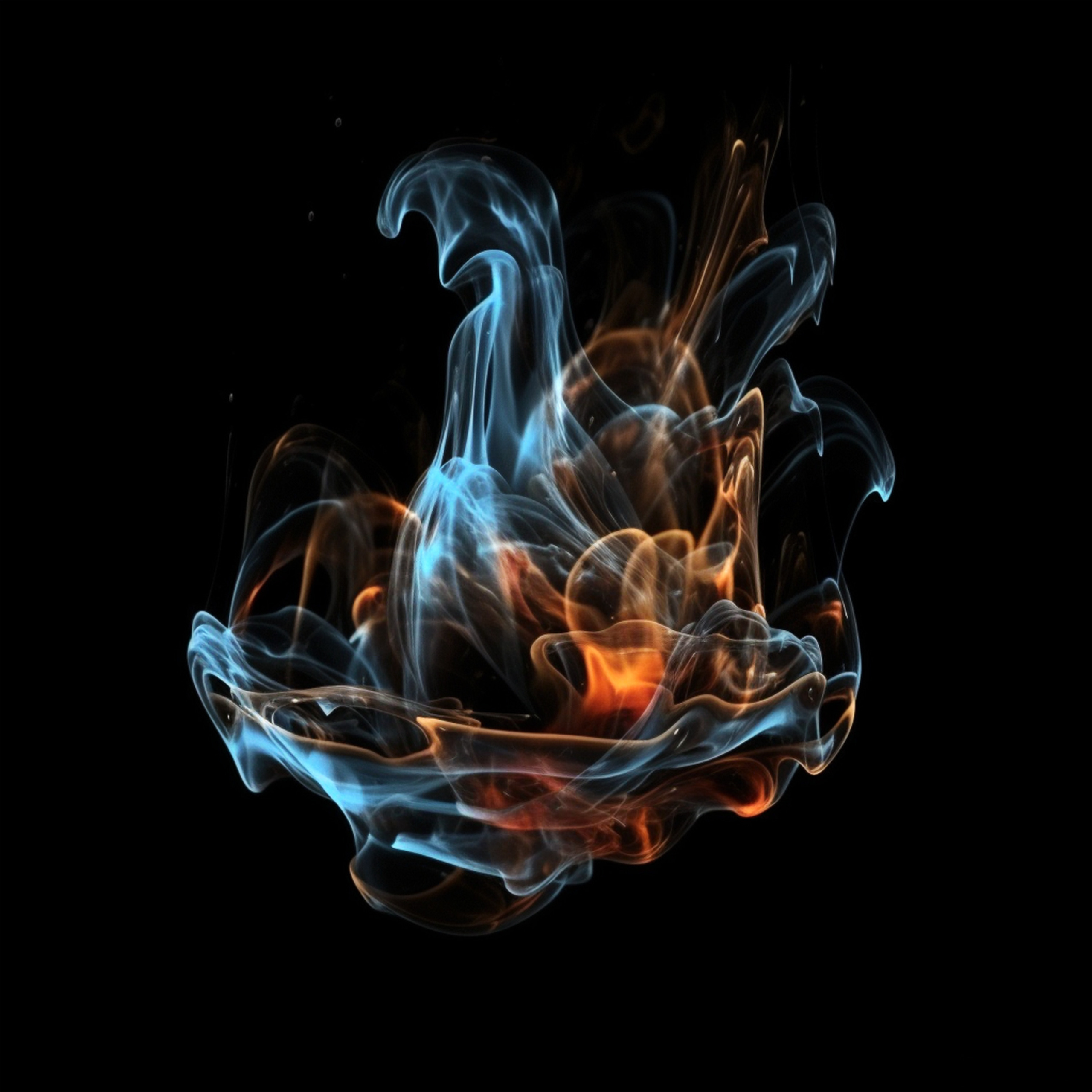 NEURALE FOTOS_BILDER. LUKIN IGOR Photography