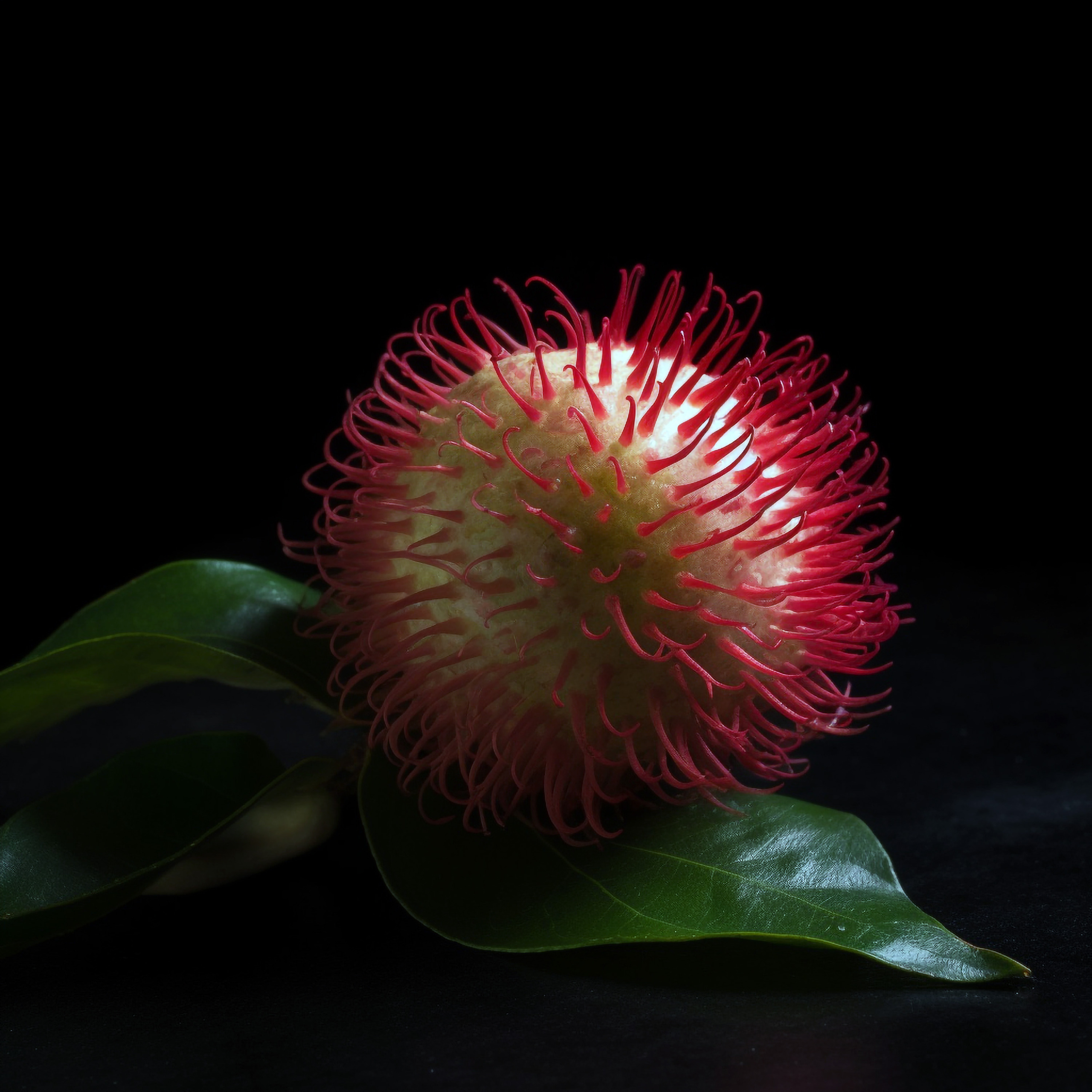 NEURALE FOTOS_BILDER. LUKIN IGOR Photography