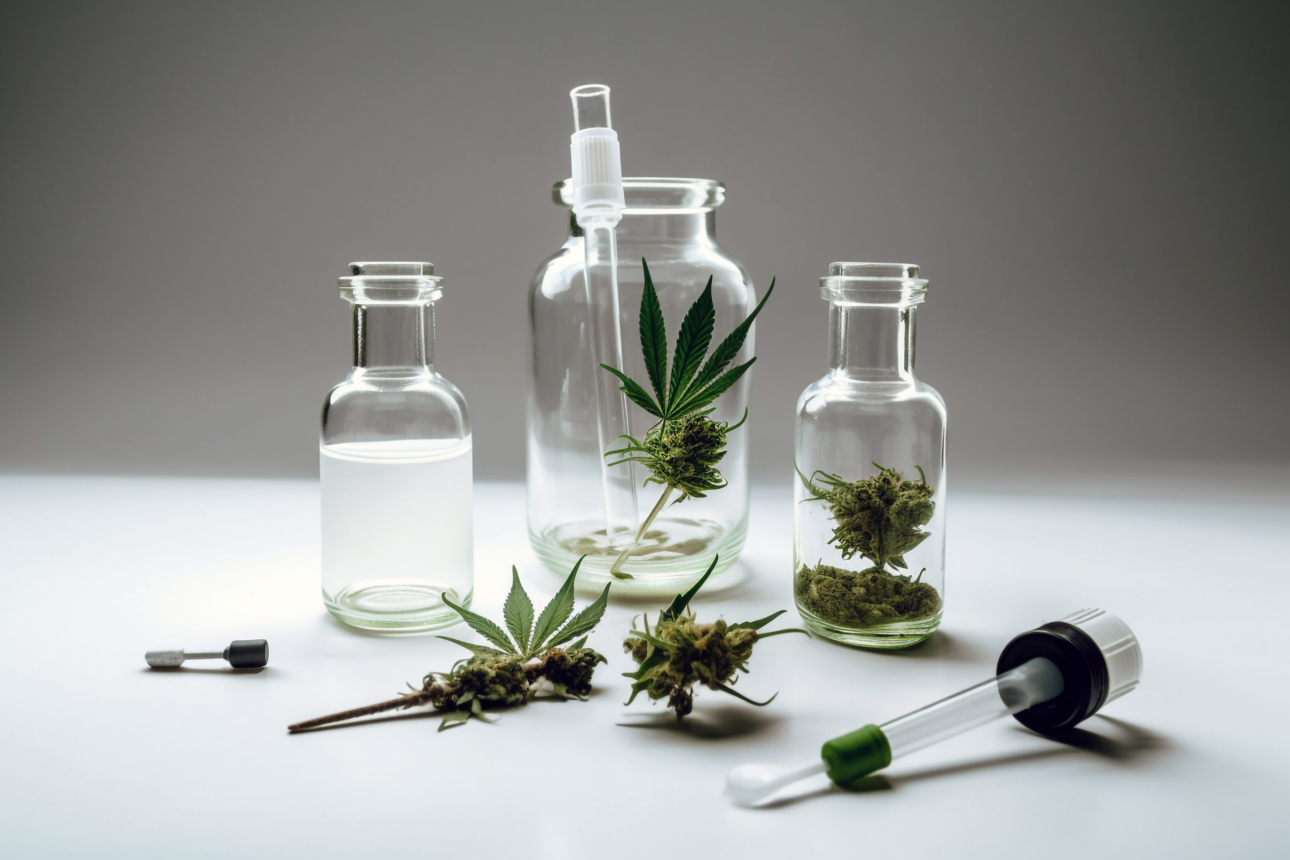 NEURALE FOTOS_BILDER. LUKIN IGOR Photography