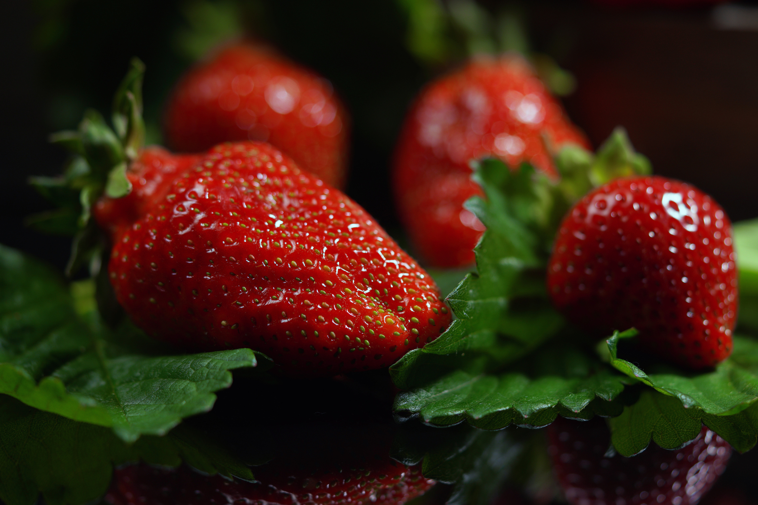 Food Fotografie. LUKIN IGOR Photography