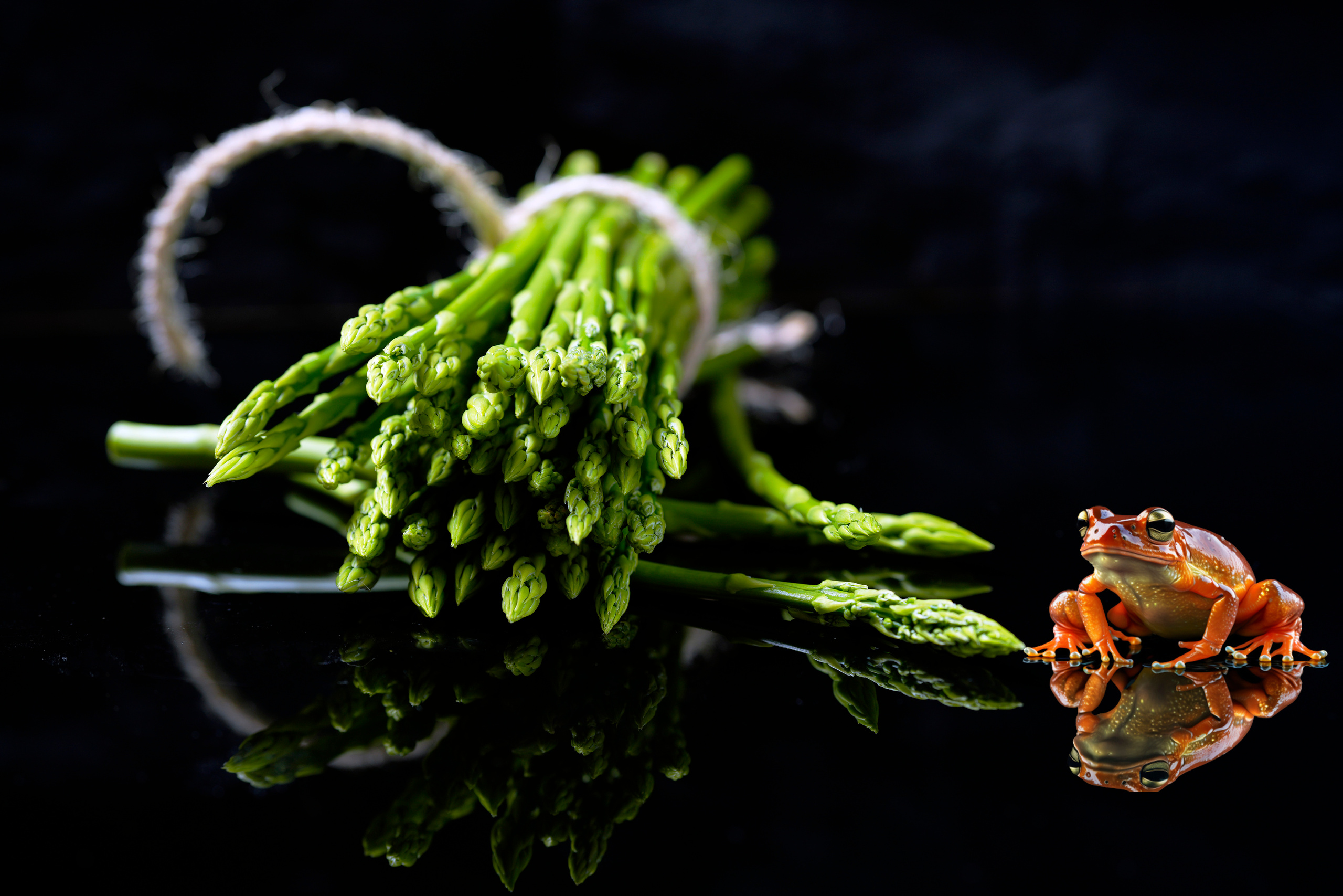 Food Fotografie. LUKIN IGOR Photography