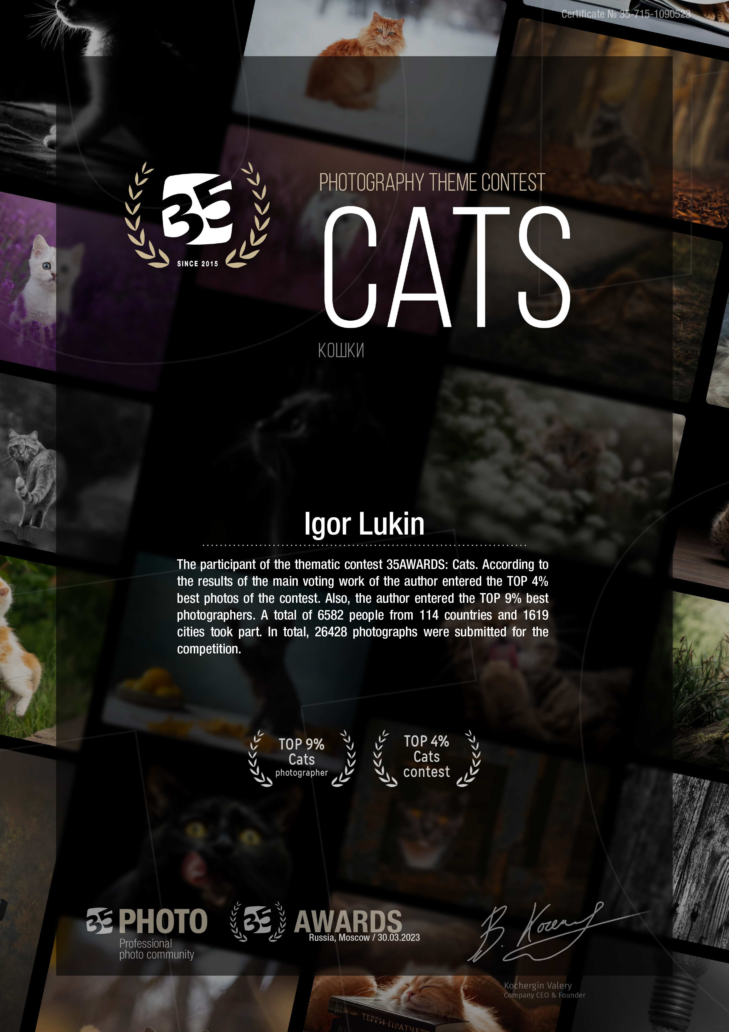 35 AWARDS КОШКИ CATS. LUKIN IGOR Photography