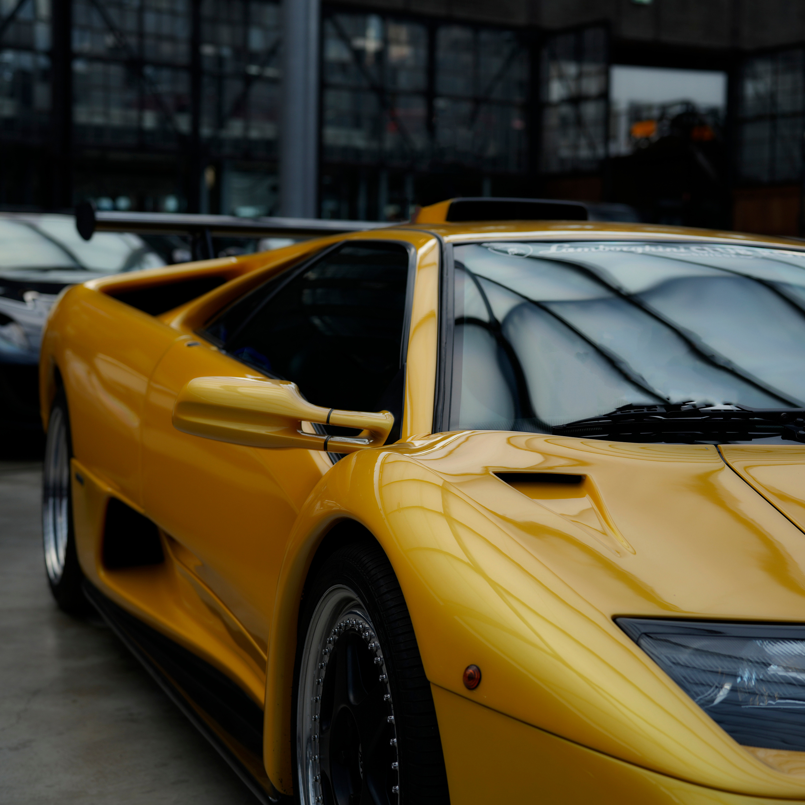 Для Миши. LUKIN IGOR Photography