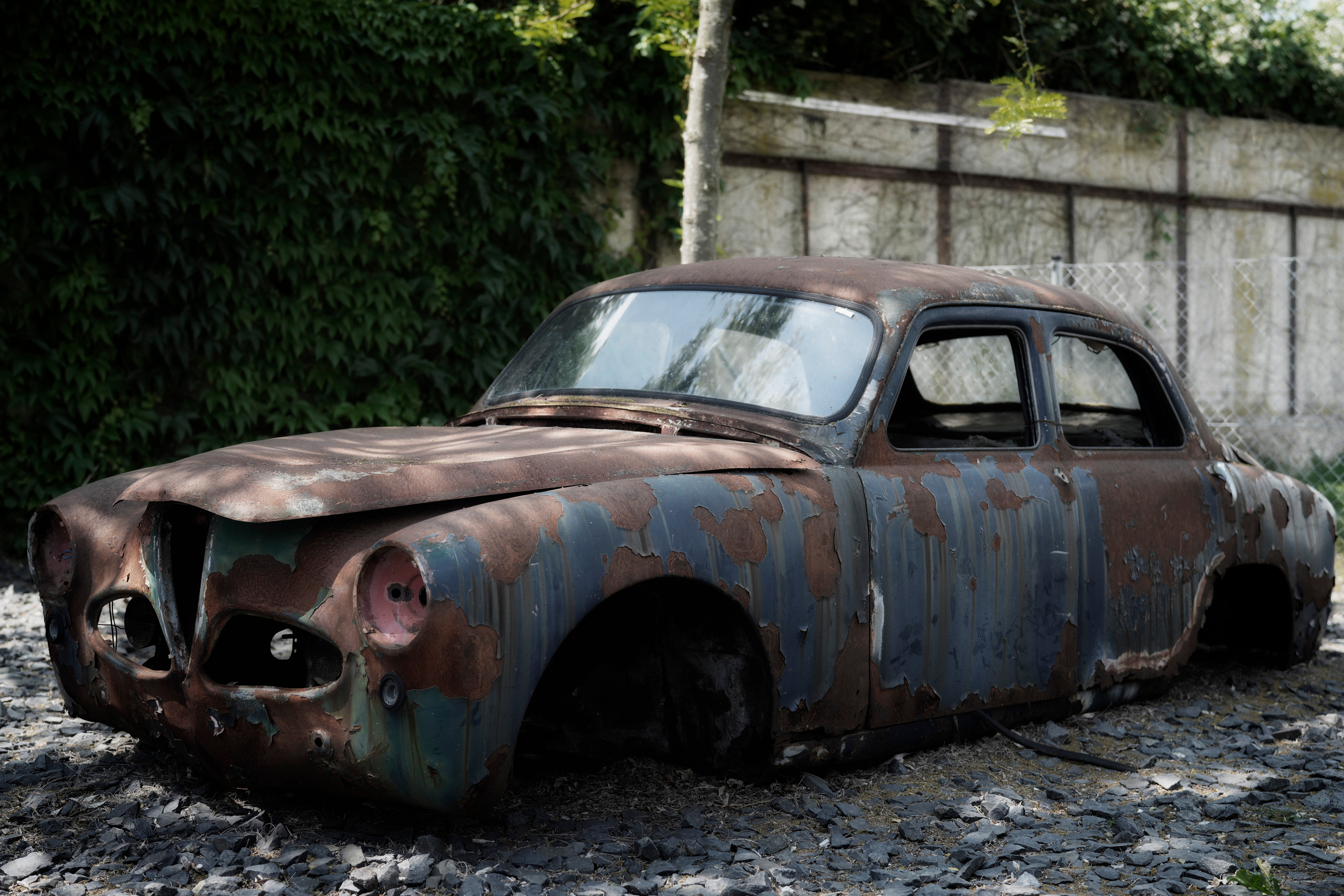 Для Миши. LUKIN IGOR Photography