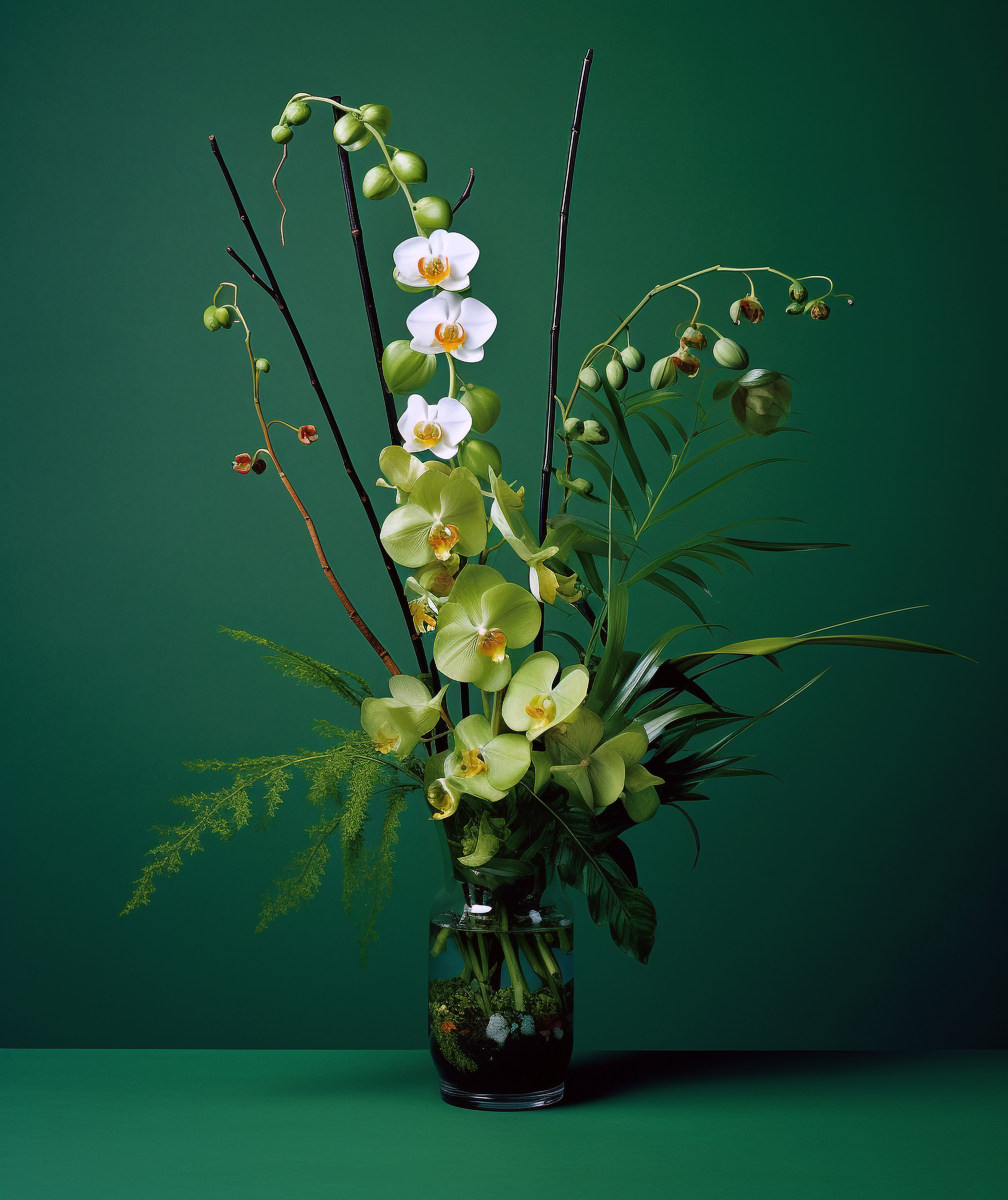 Blumen. LUKIN IGOR Photography